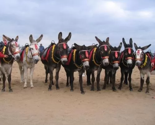 Area and facilities in The Sherwood, No 11,