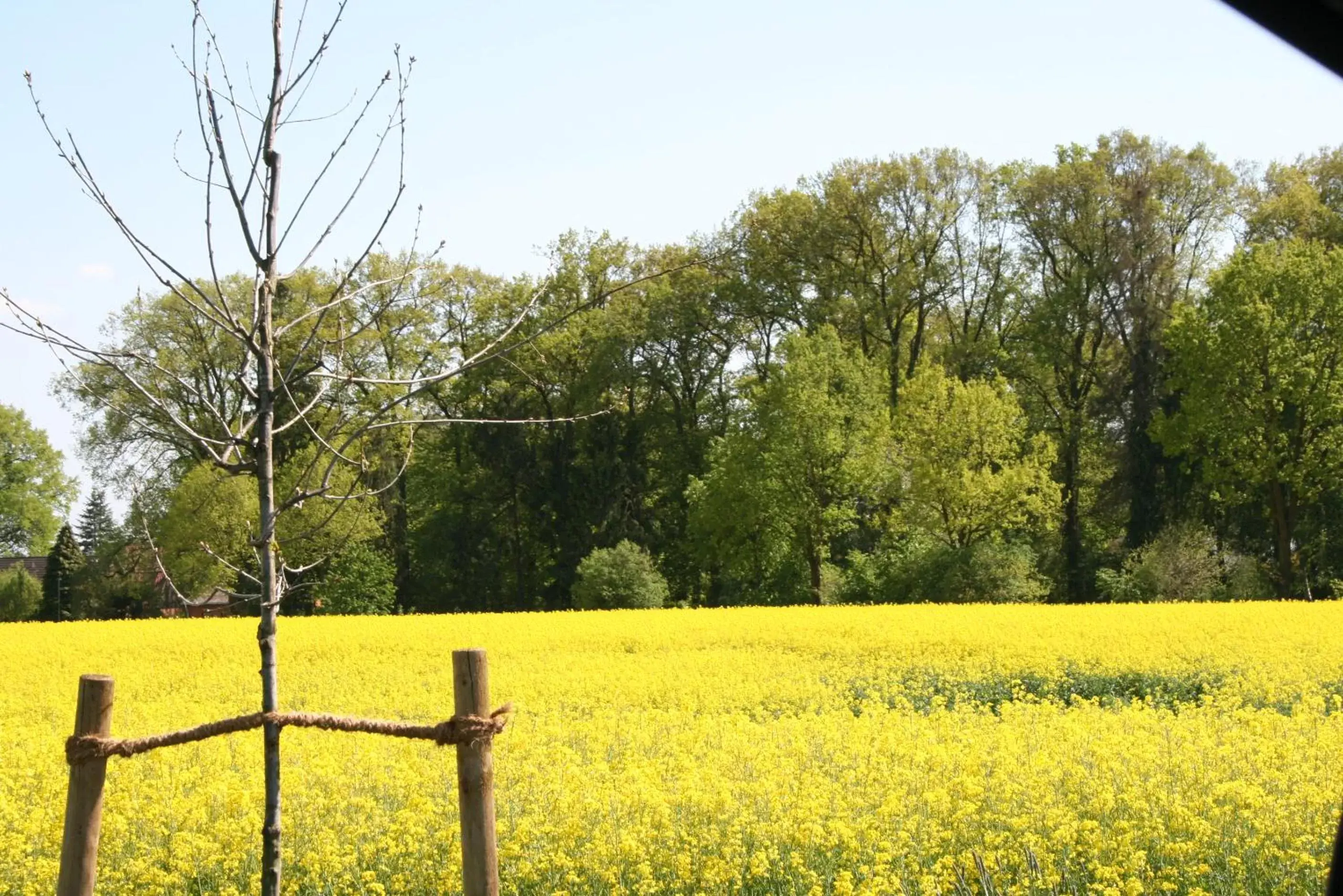 Natural landscape, Garden in Ringhotel Forellenhof