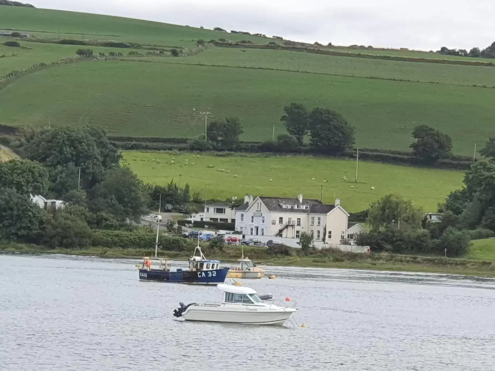 Natural landscape in The Teifi Waterside Hotel