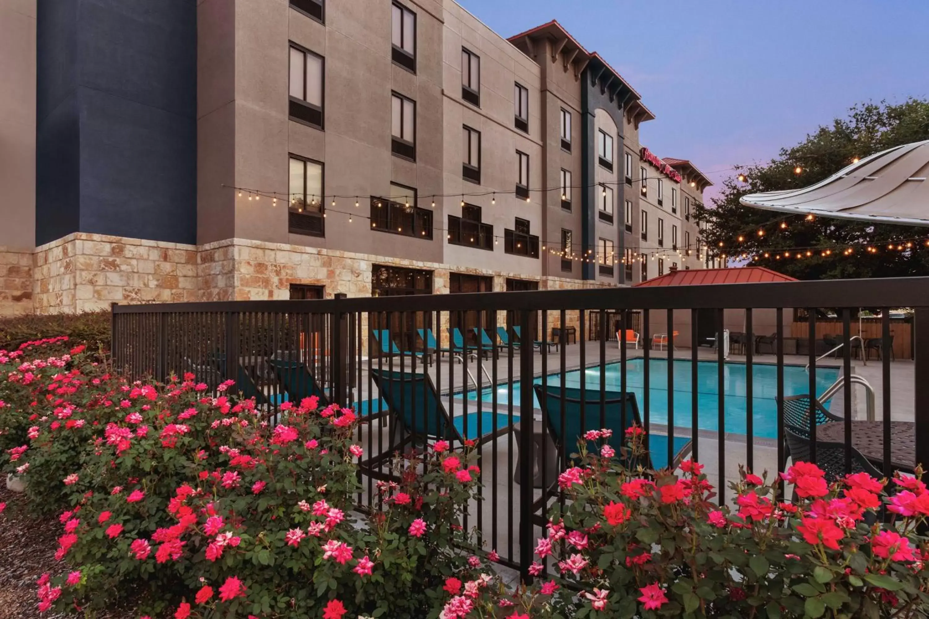 Pool View in Hampton Inn & Suites San Marcos