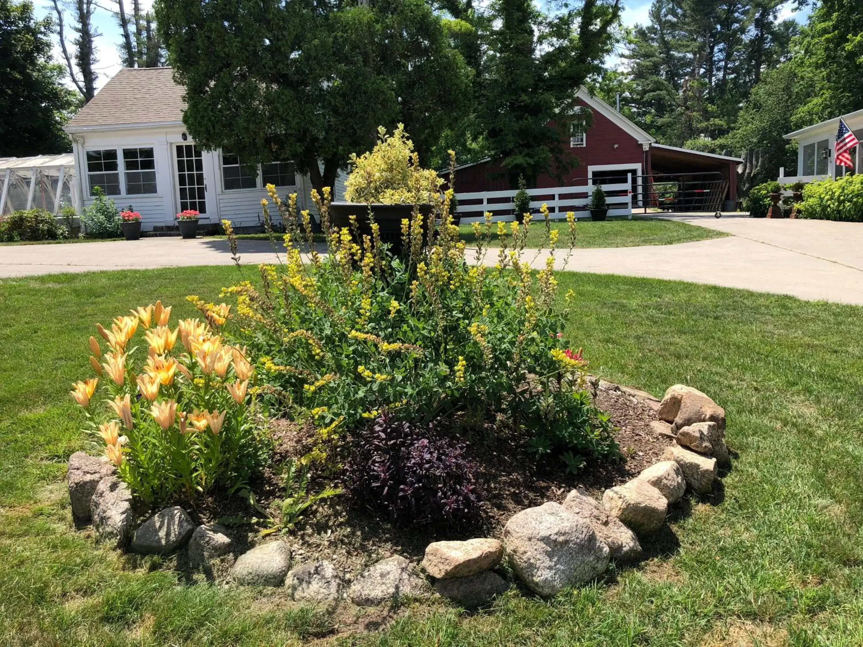 Other, Garden in Silvershell Inn