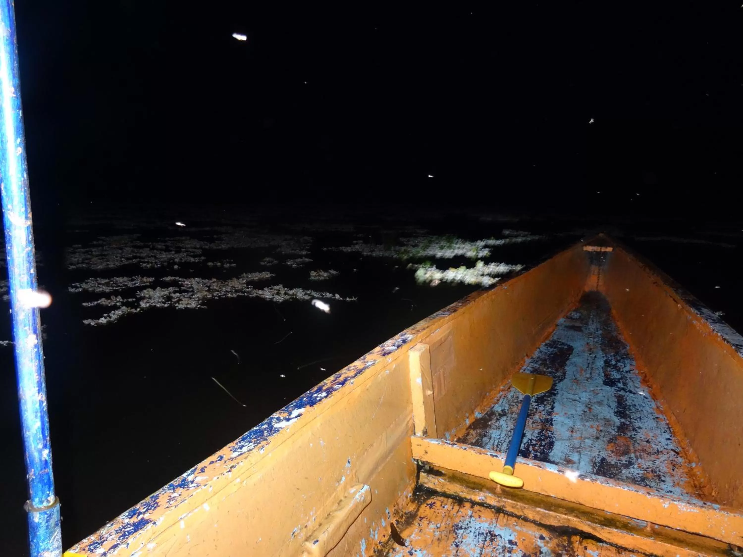 Fishing in Hostal Limoncocha