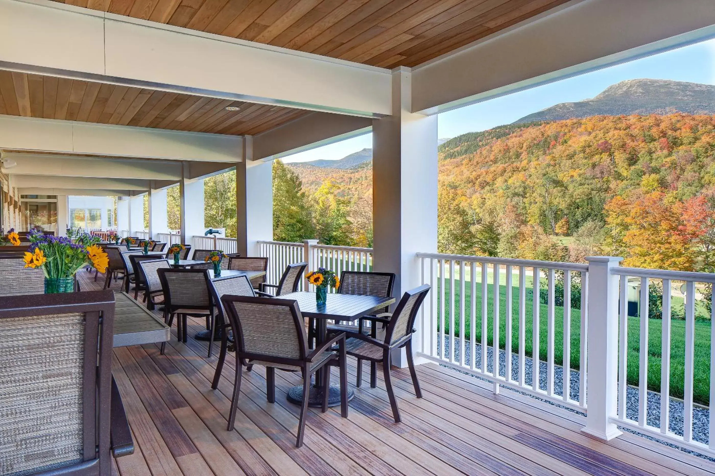 Patio in The Glen House