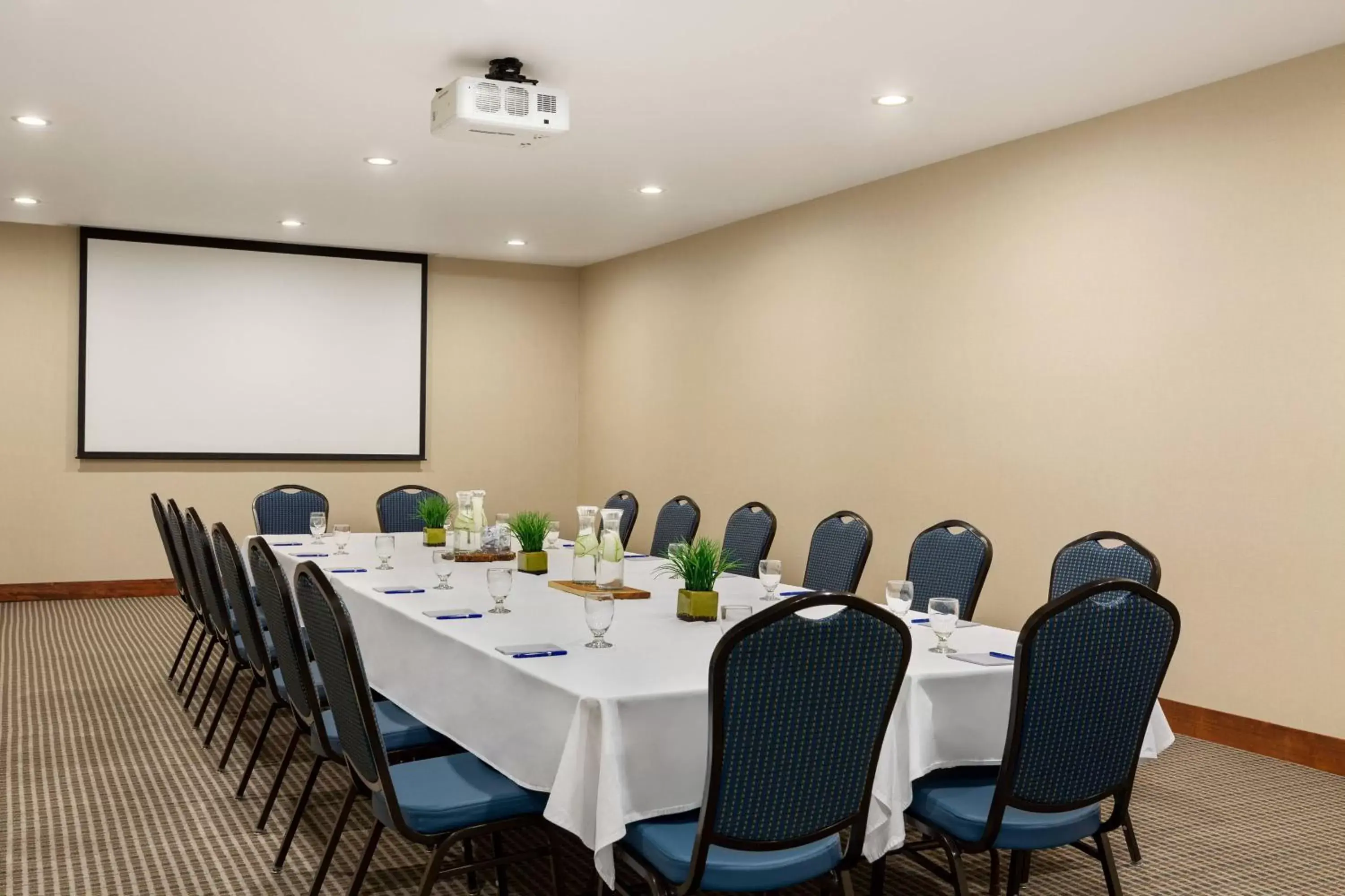 Meeting/conference room in Delta Hotels by Marriott Helena Colonial