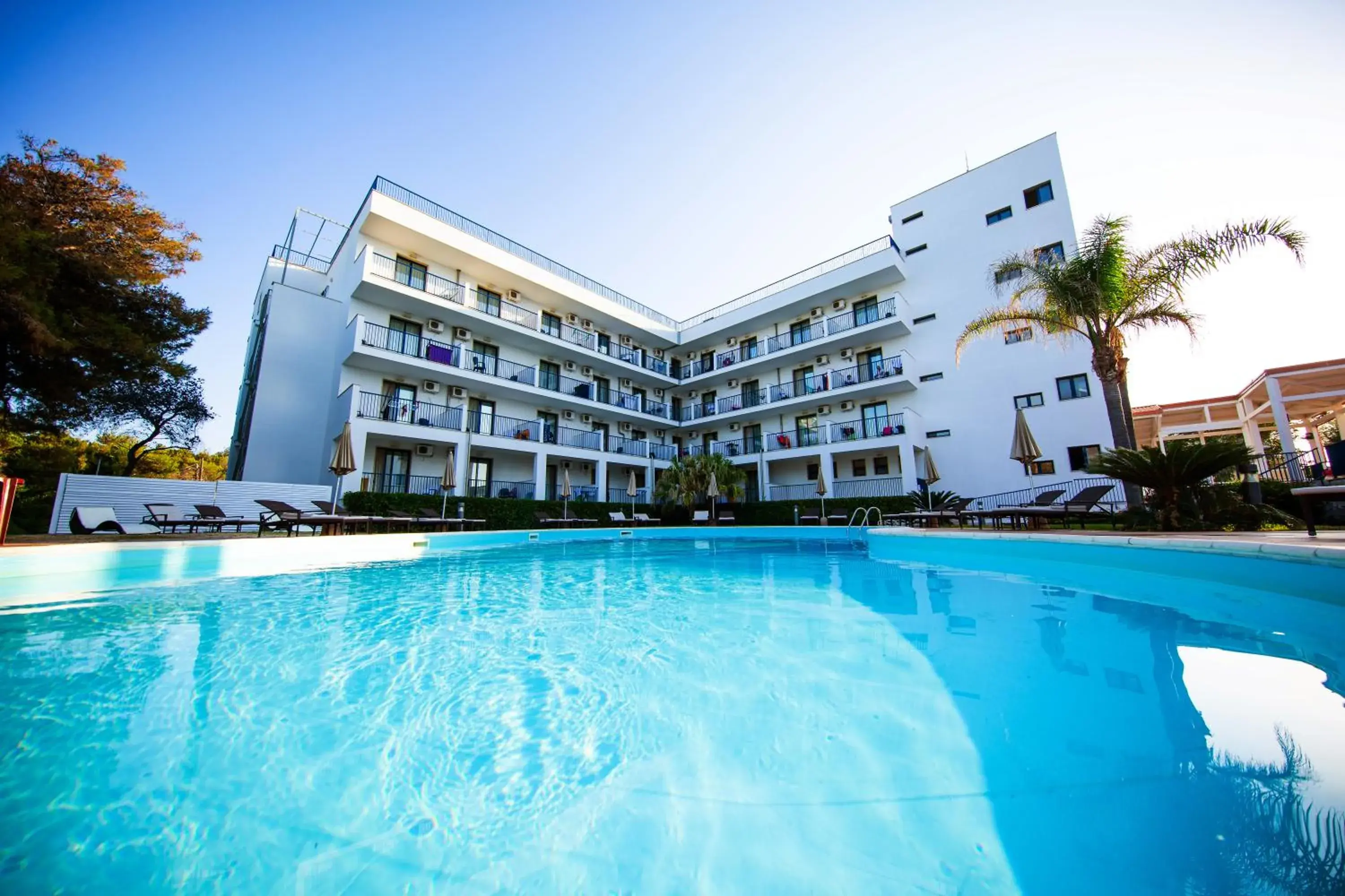 Swimming pool, Property Building in Ticho's