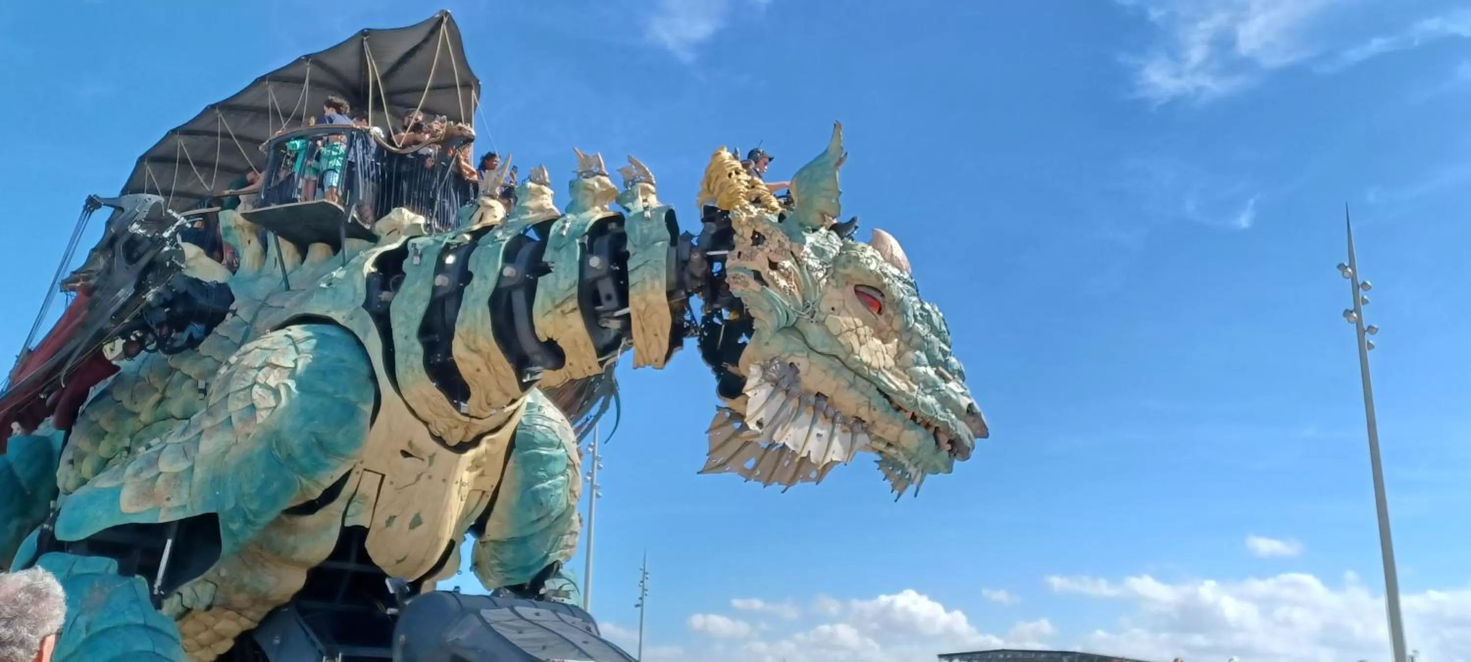 Nearby landmark, Other Animals in La Carte Postale