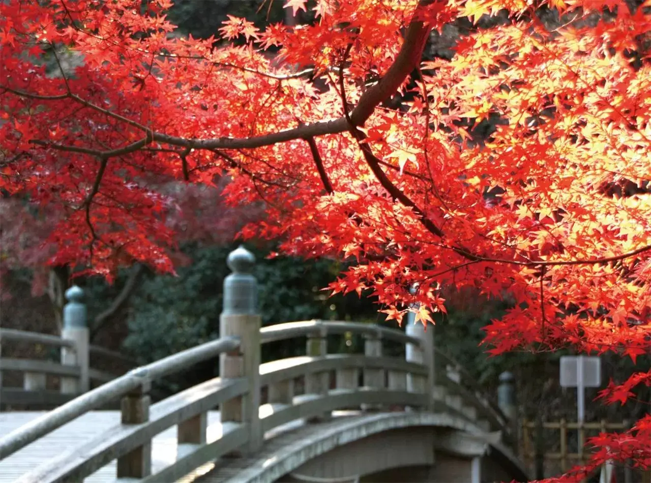 Nearby landmark in Hotel Trend Okazaki Ekimae