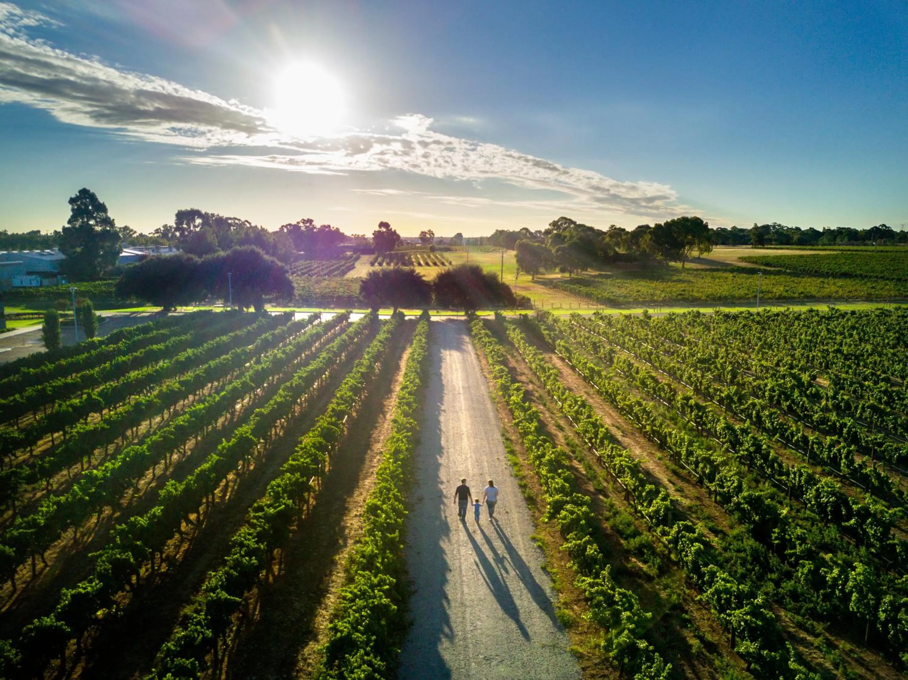 Bird's eye view in Maya Maya at Mandoon Estate