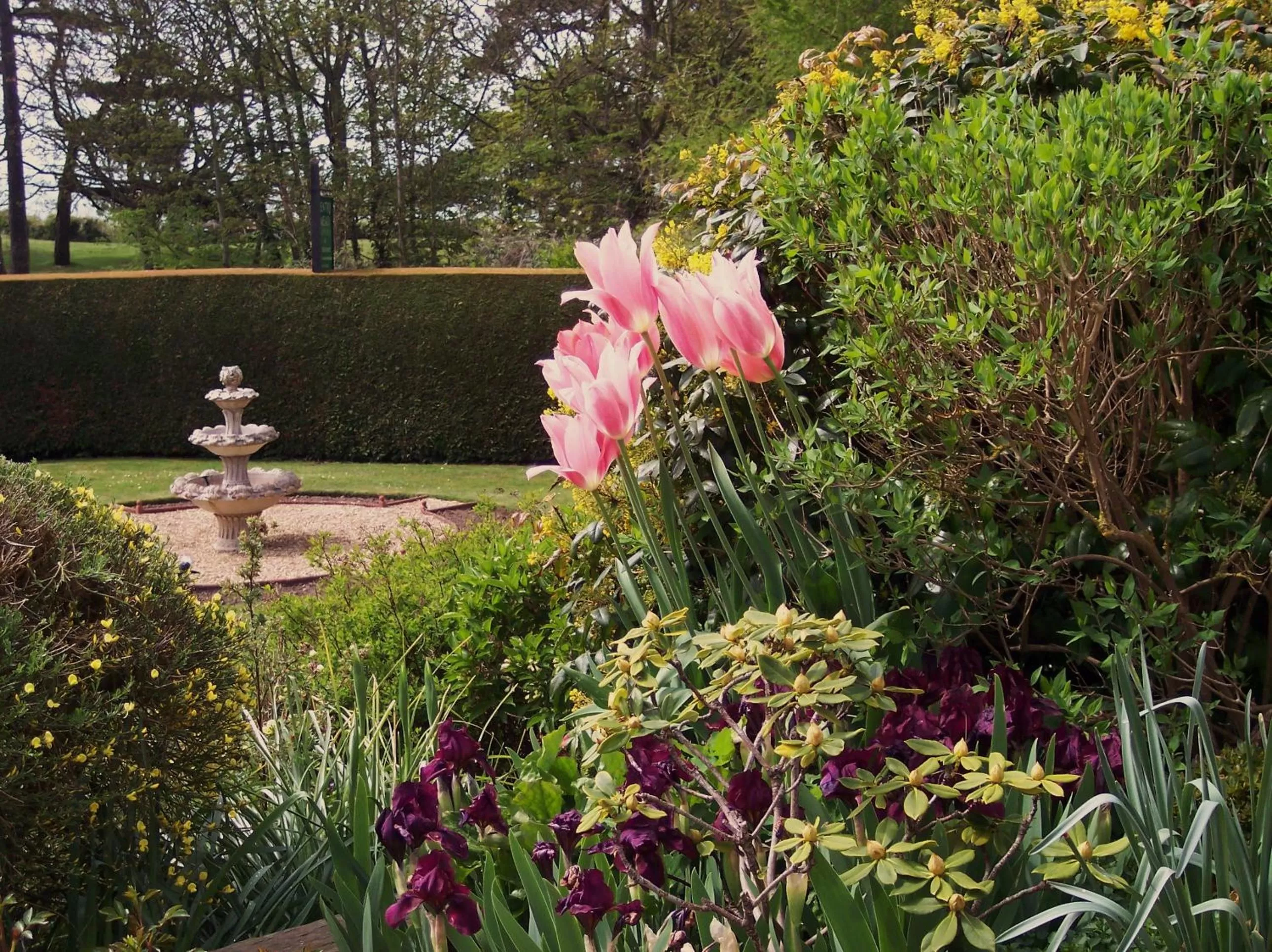 Garden in Sentry Mead Hotel
