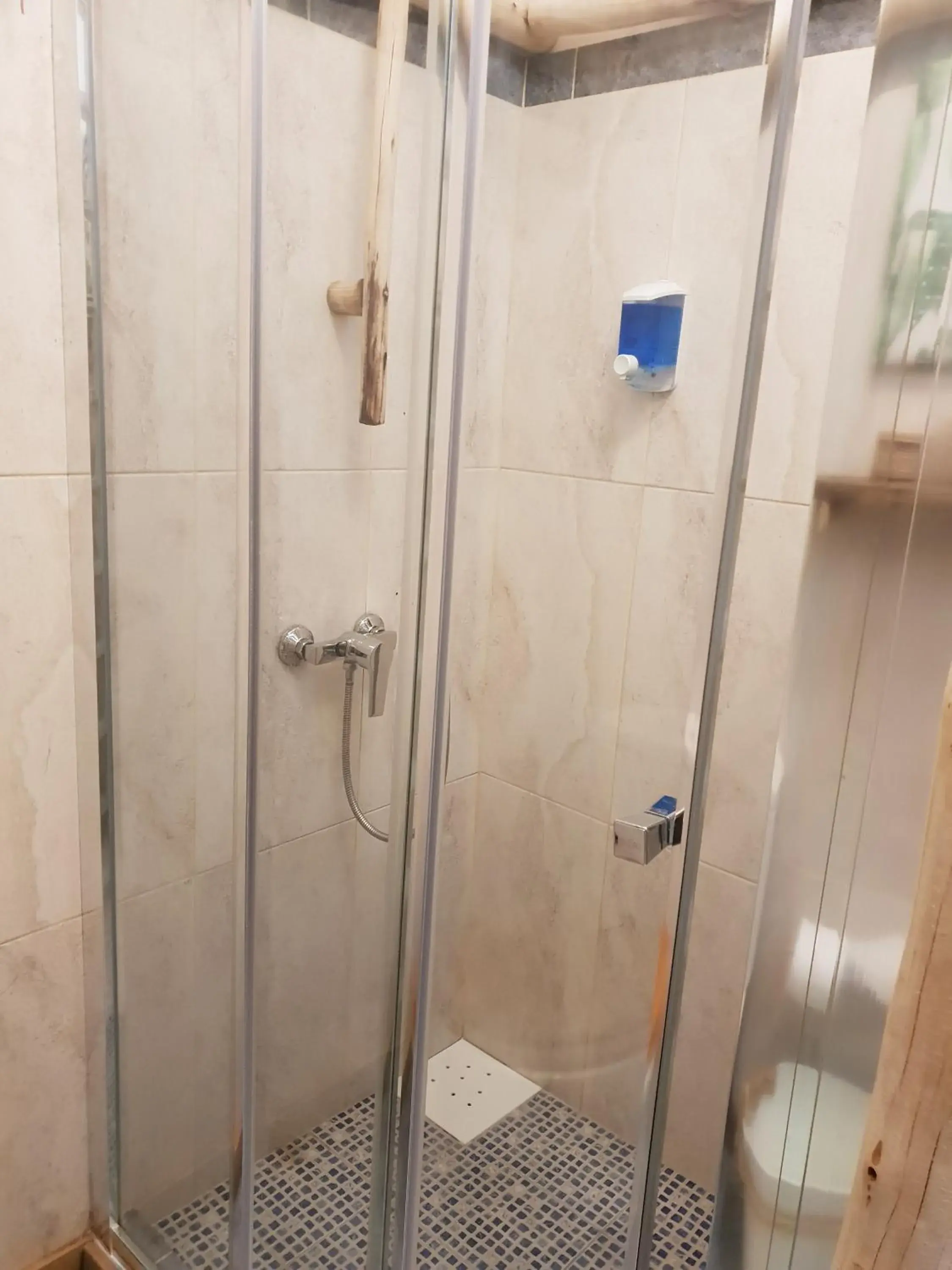 Shower, Bathroom in Cactus Host