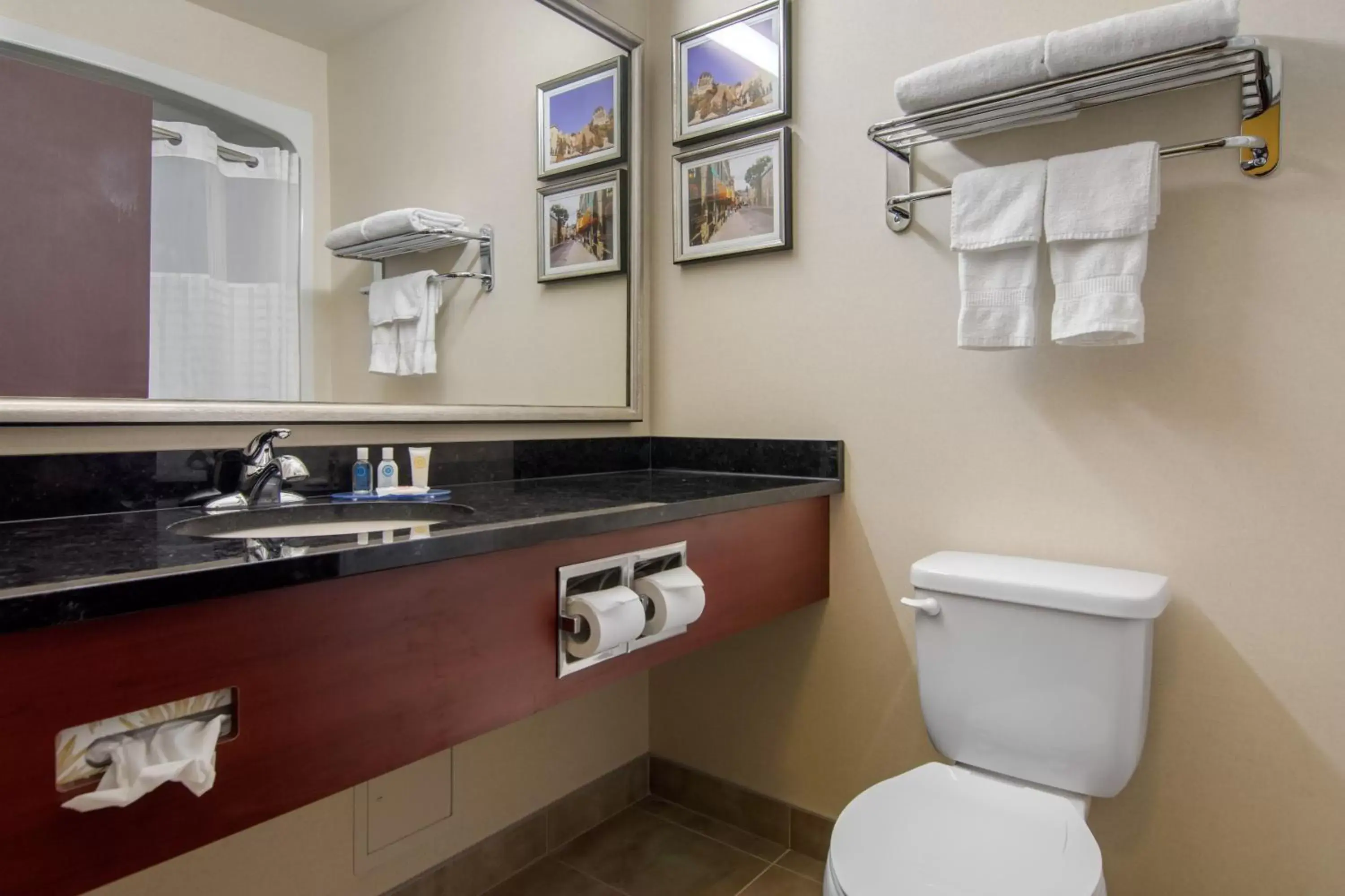 Bathroom in Comfort Inn & Suites Levis / Rive Sud Quebec city