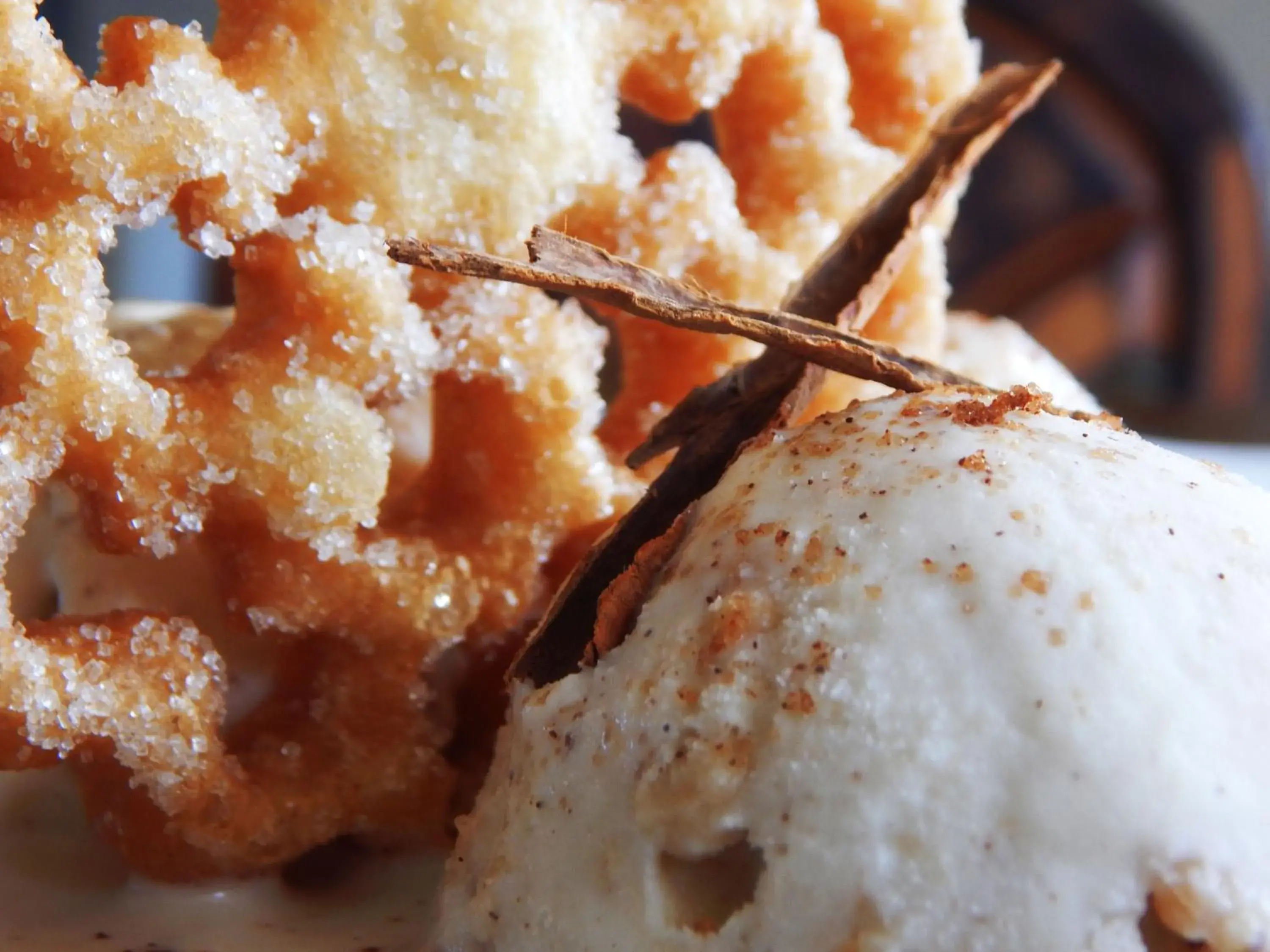 Food in Hotel Corona Plaza Food in Hotel Corona Plaza