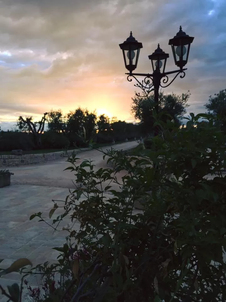 Sunset in Tenuta Orsanese