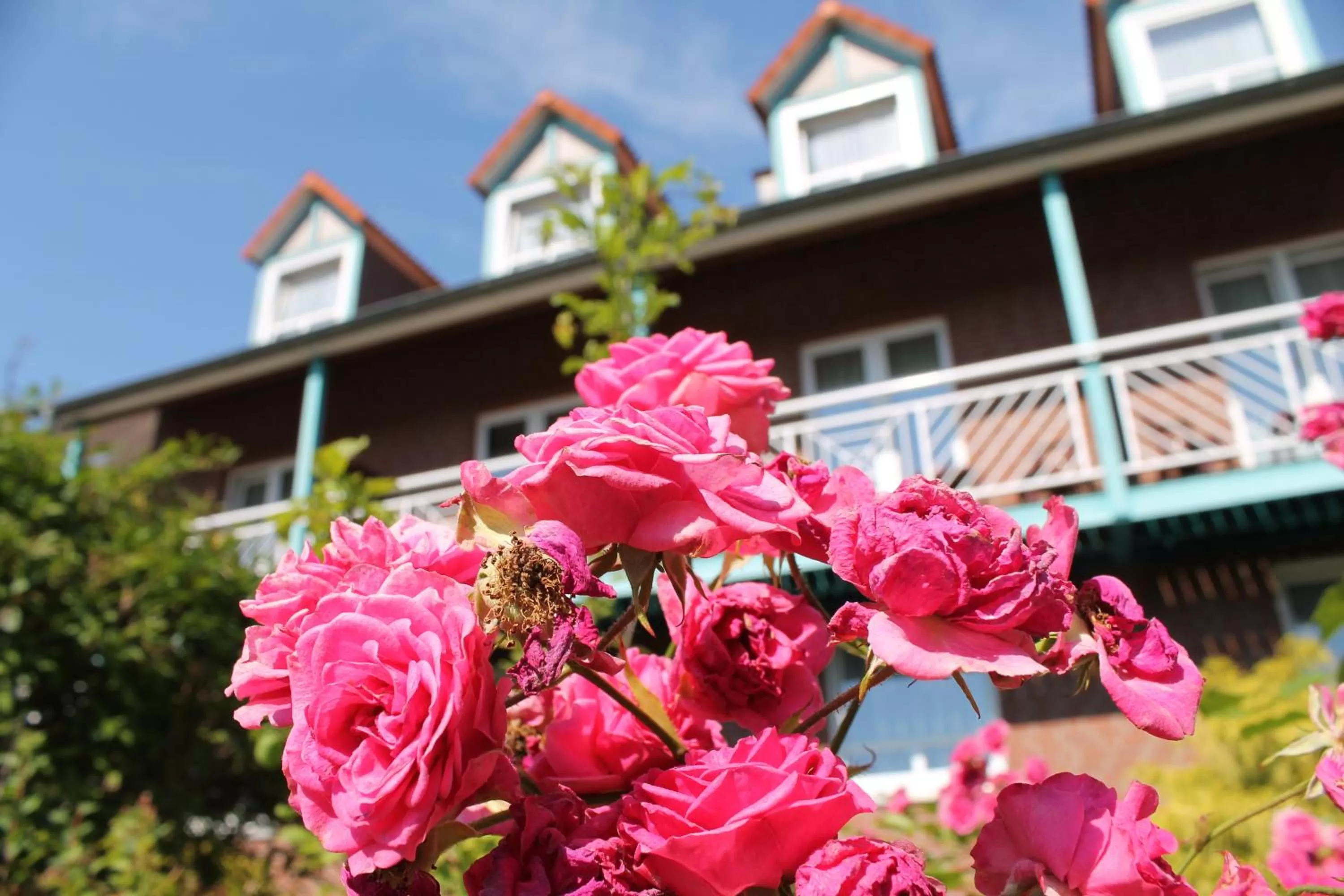 Facade/entrance in Hotel Blumlage