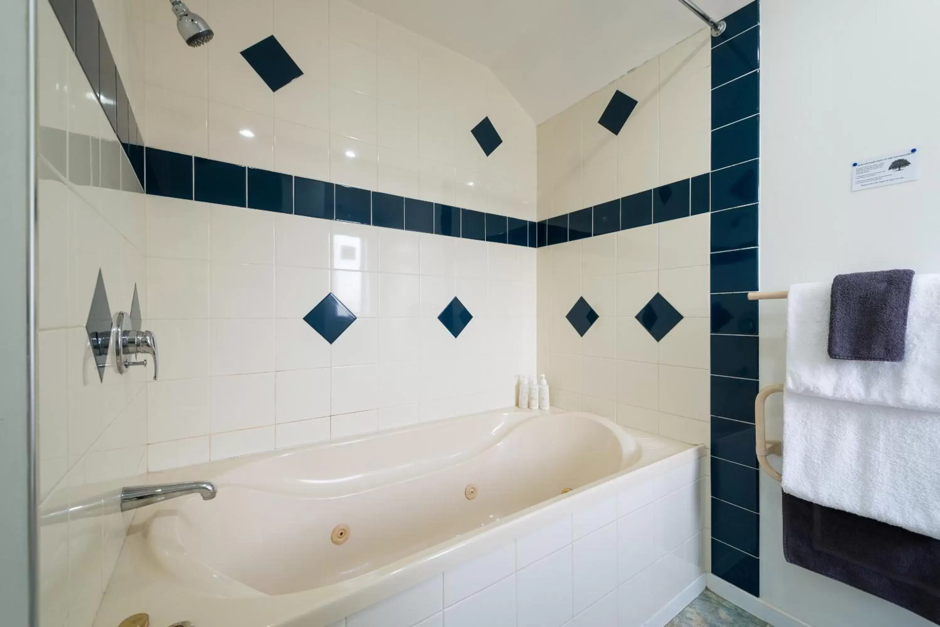 Bathroom in Annabelle Court Motel