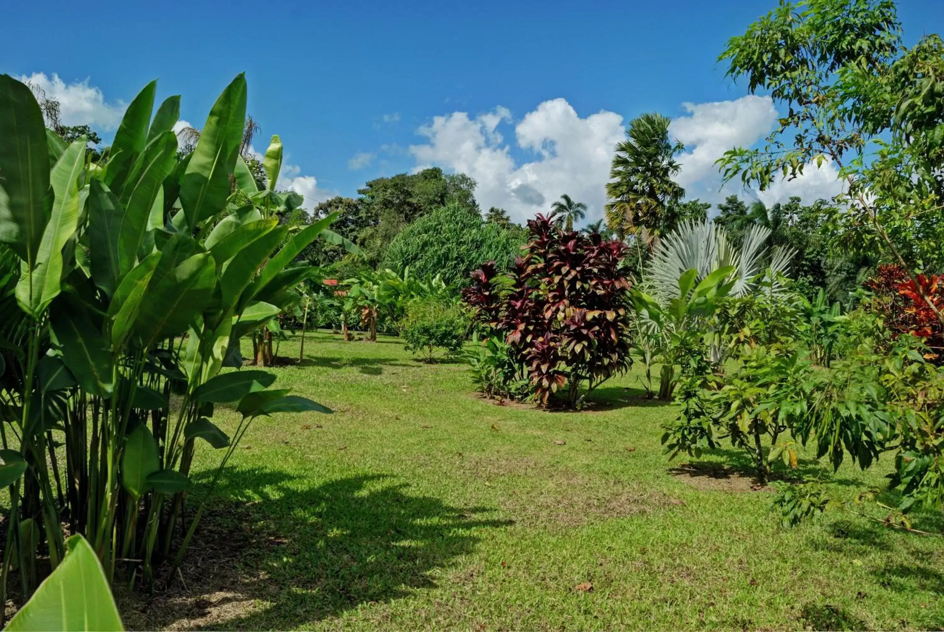 Day, Garden in Volcano Lodge, Hotel & Thermal Experience