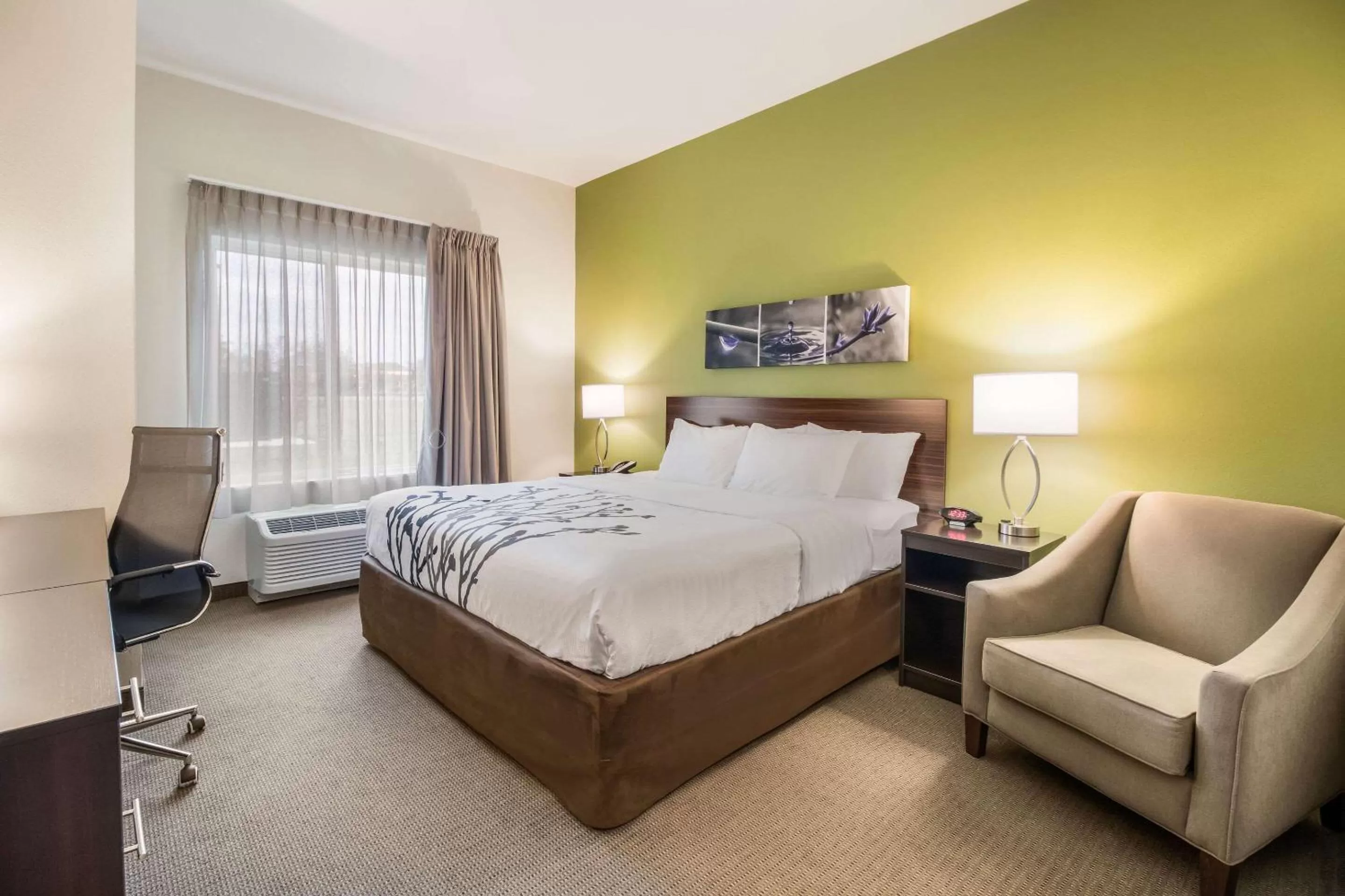 Photo of the whole room, Bed in Sleep Inn