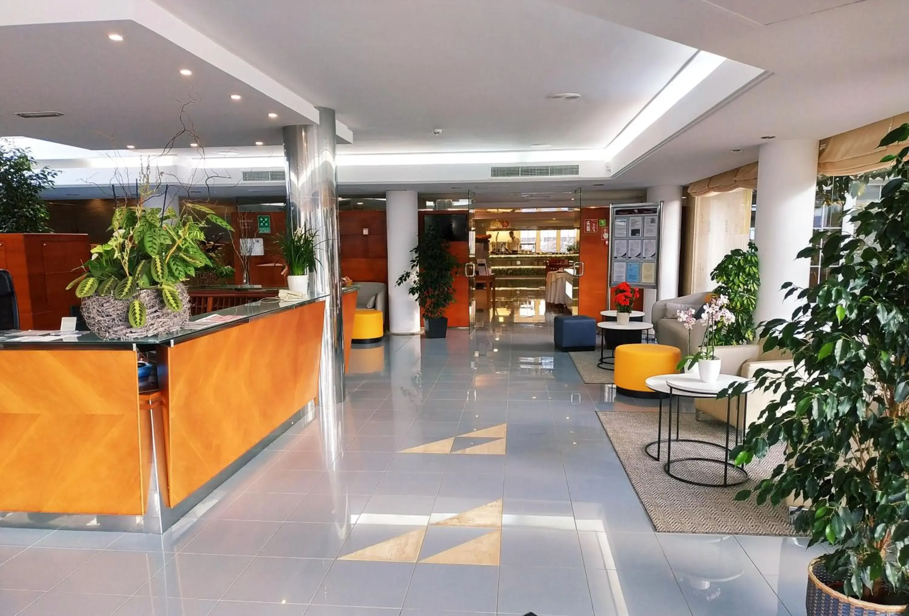 Lobby or reception, Lobby/Reception in Hotel Capricho