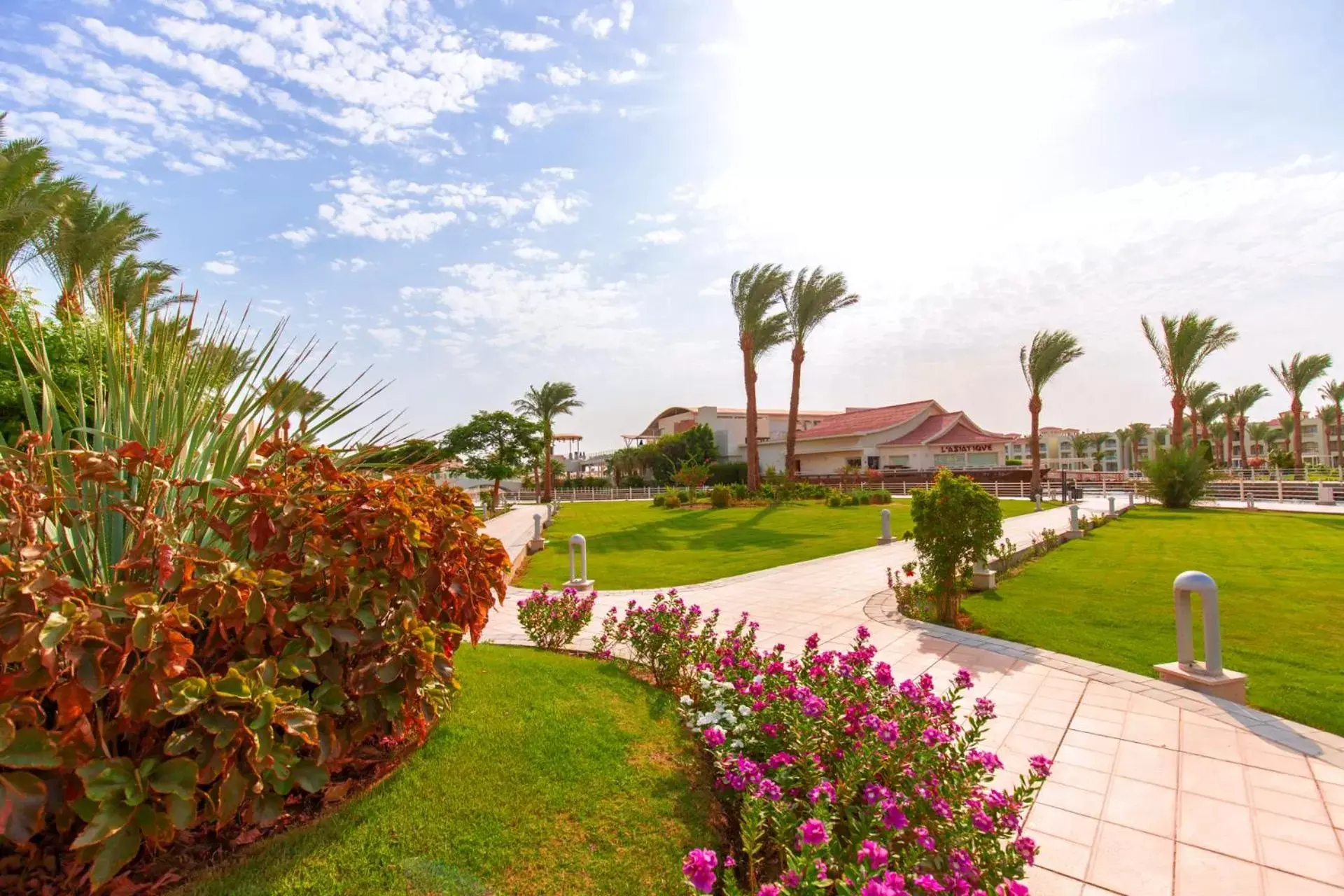 Natural landscape in Pickalbatros Dana Beach Resort - Hurghada