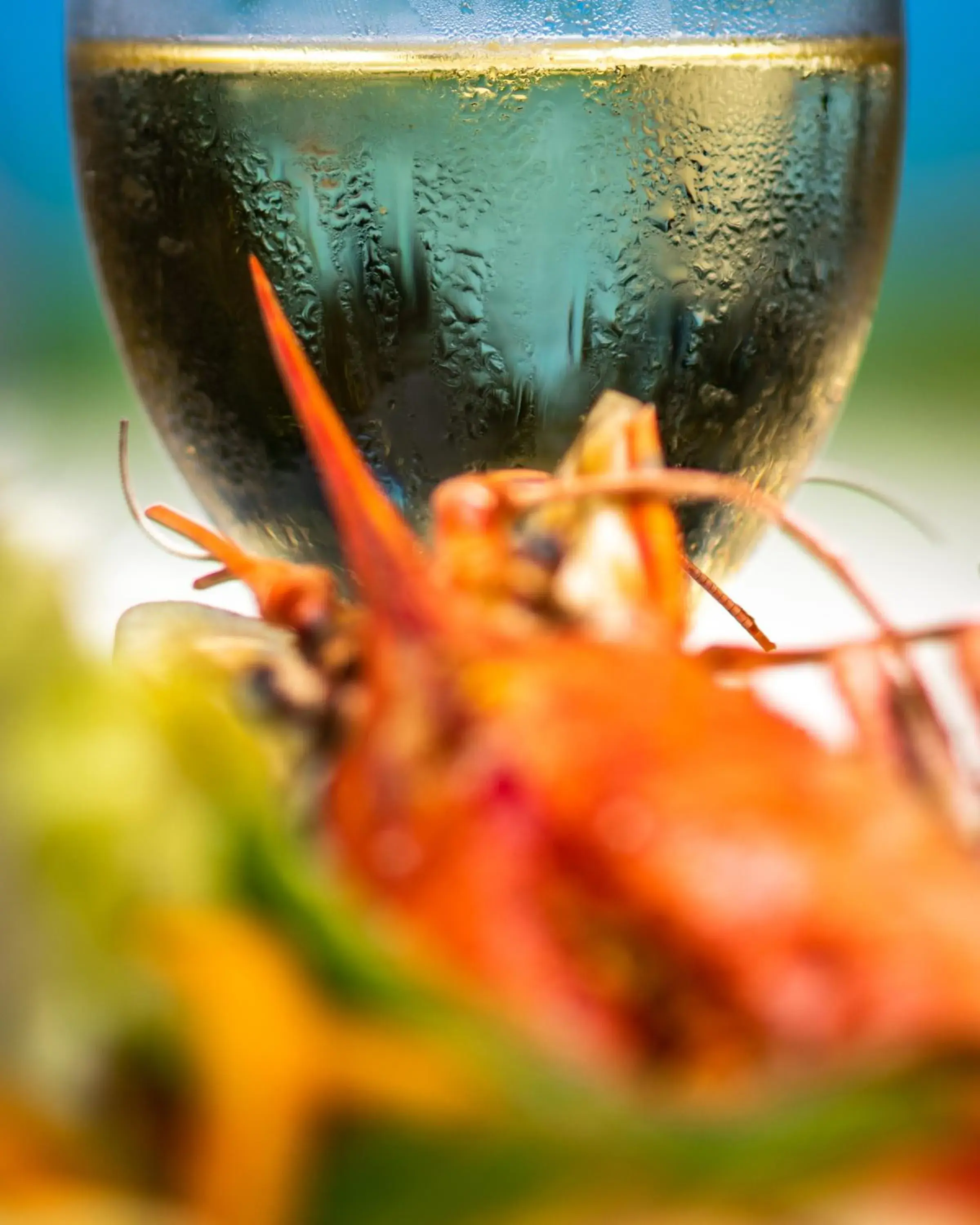 Drinks, Food in Hakuna Majiwe Beach Lodge Zanzibar