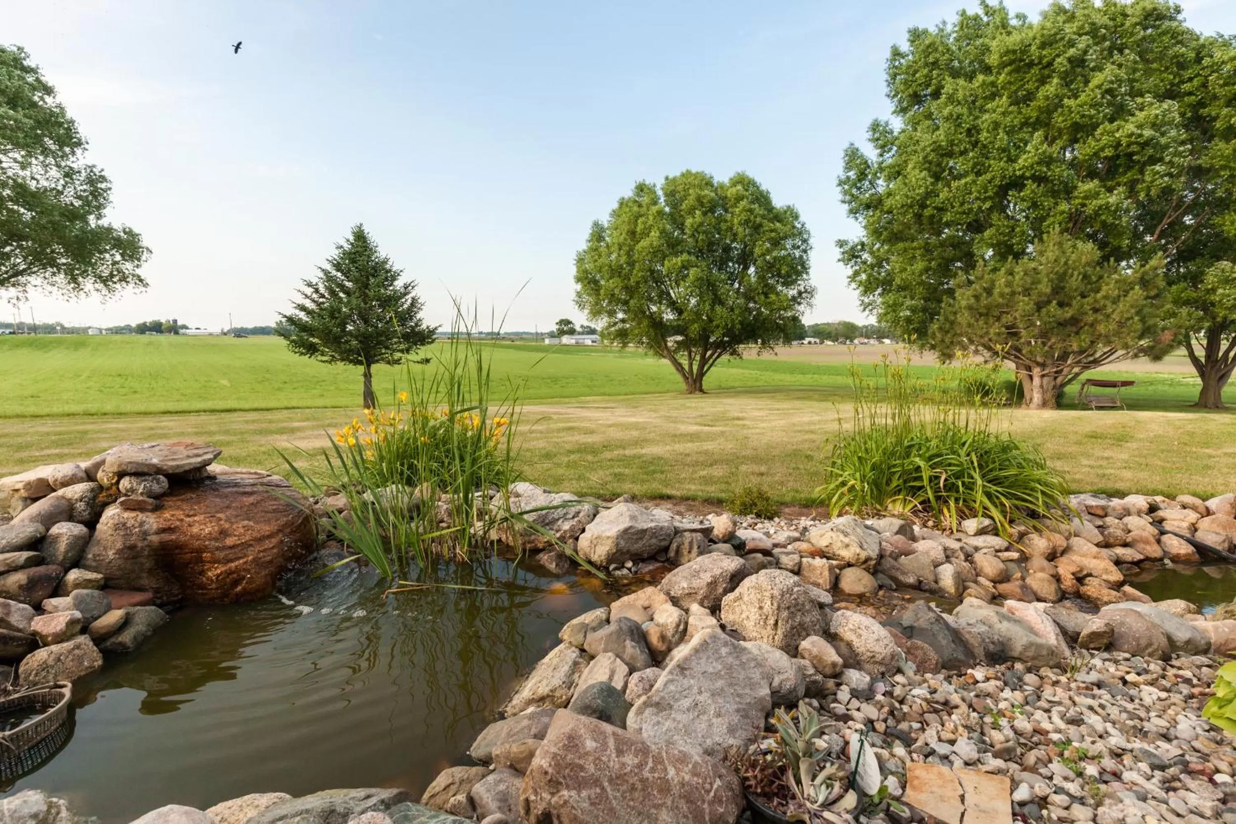 Natural landscape in Scottish Bed & Breakfast