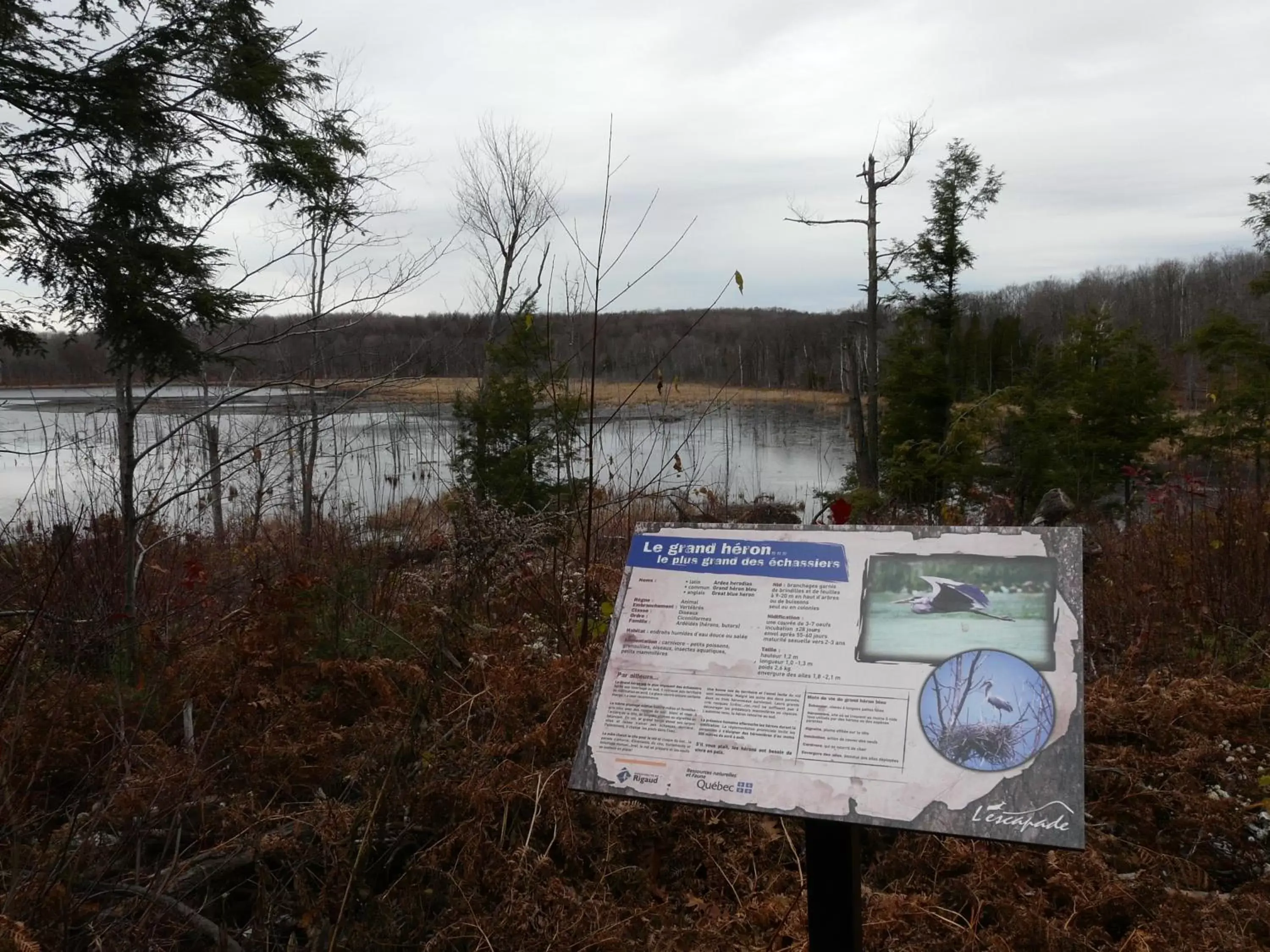 Hiking in Auberge des Gallant