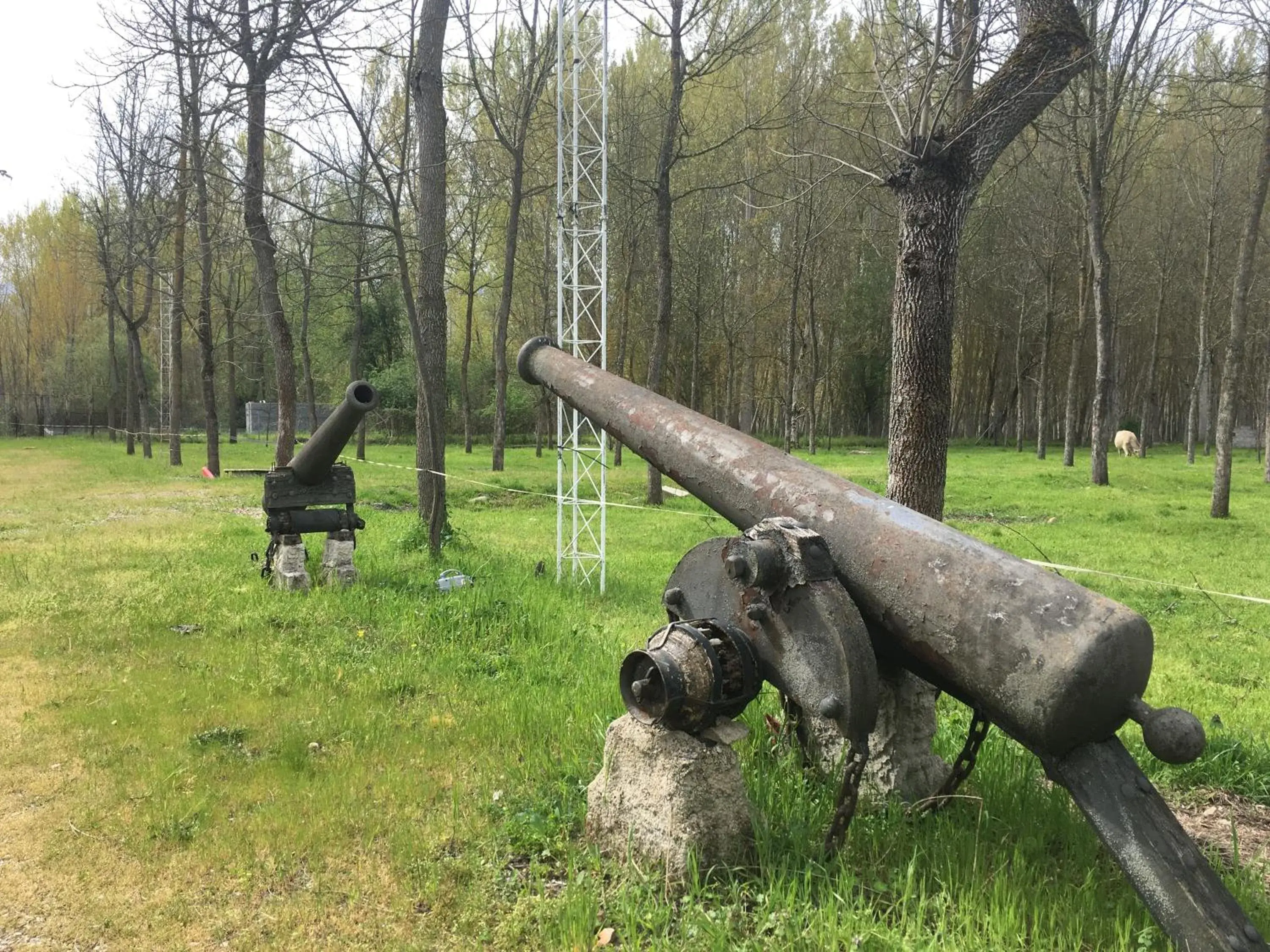 Area and facilities, Other Animals in Hotel Rural Camino Medulas