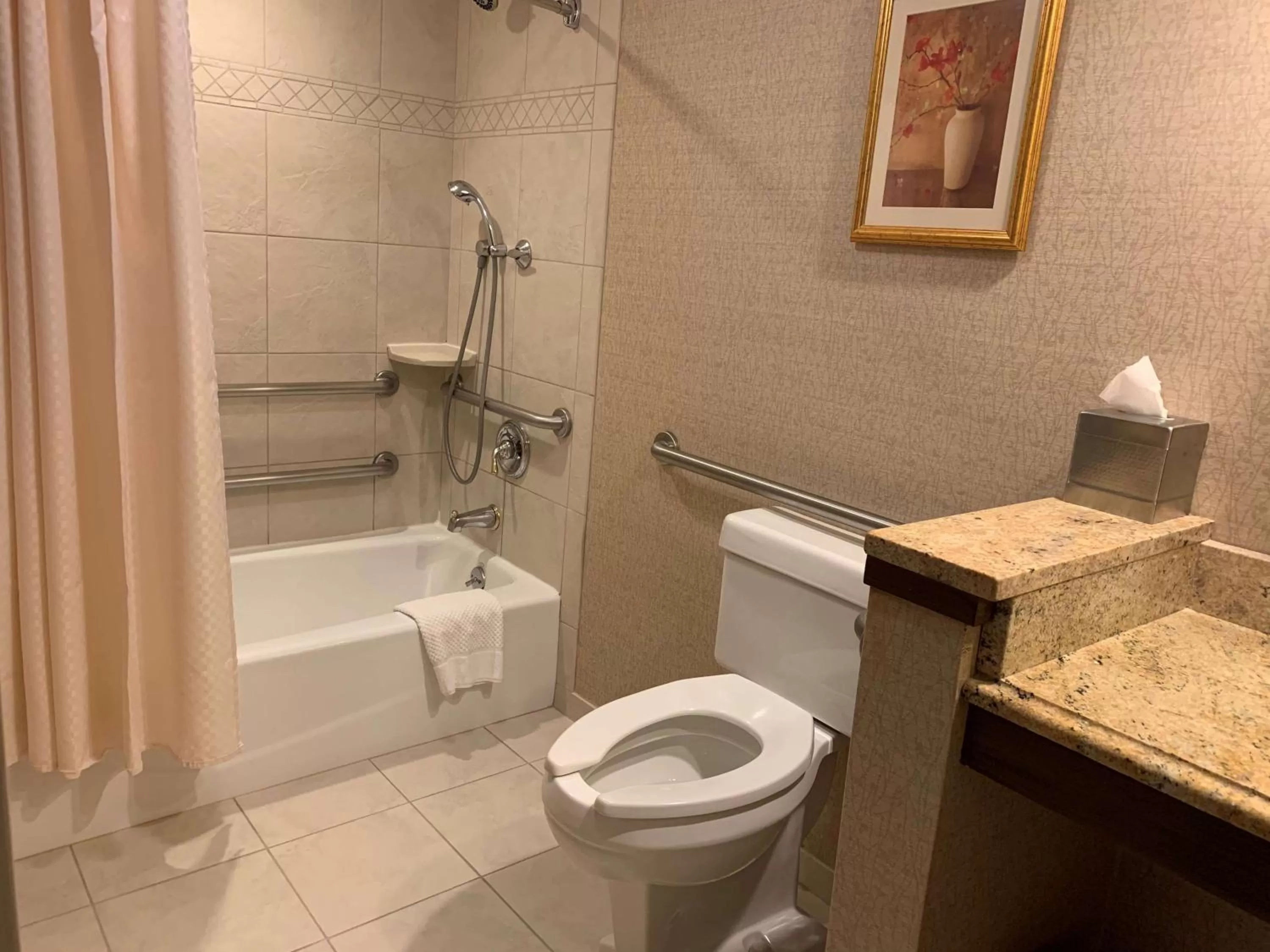 King Room - Hearing Accessible with Tub in Hilton Chicago/Northbrook