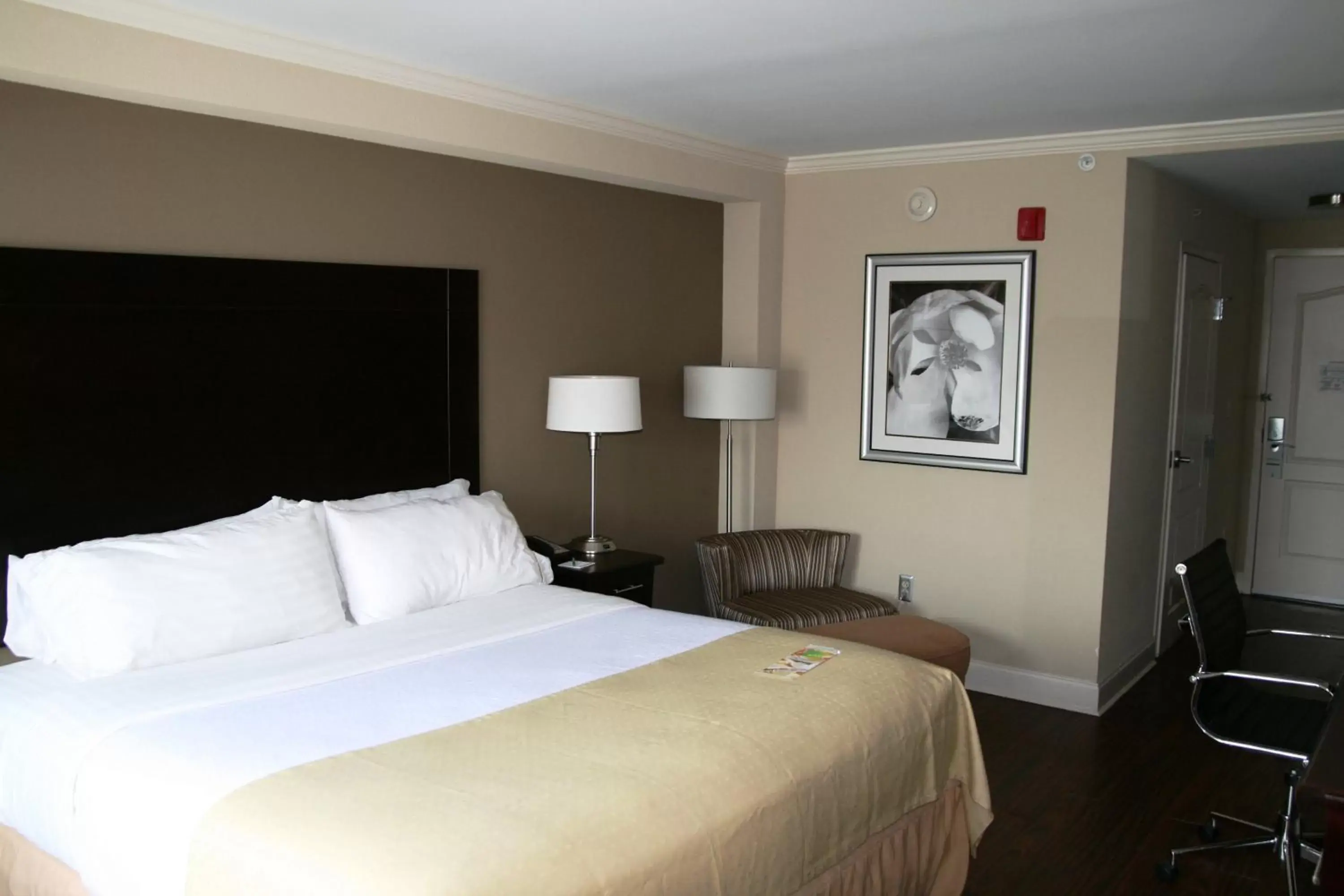 Photo of the whole room, Bed in Holiday Inn Macon North, an IHG Hotel