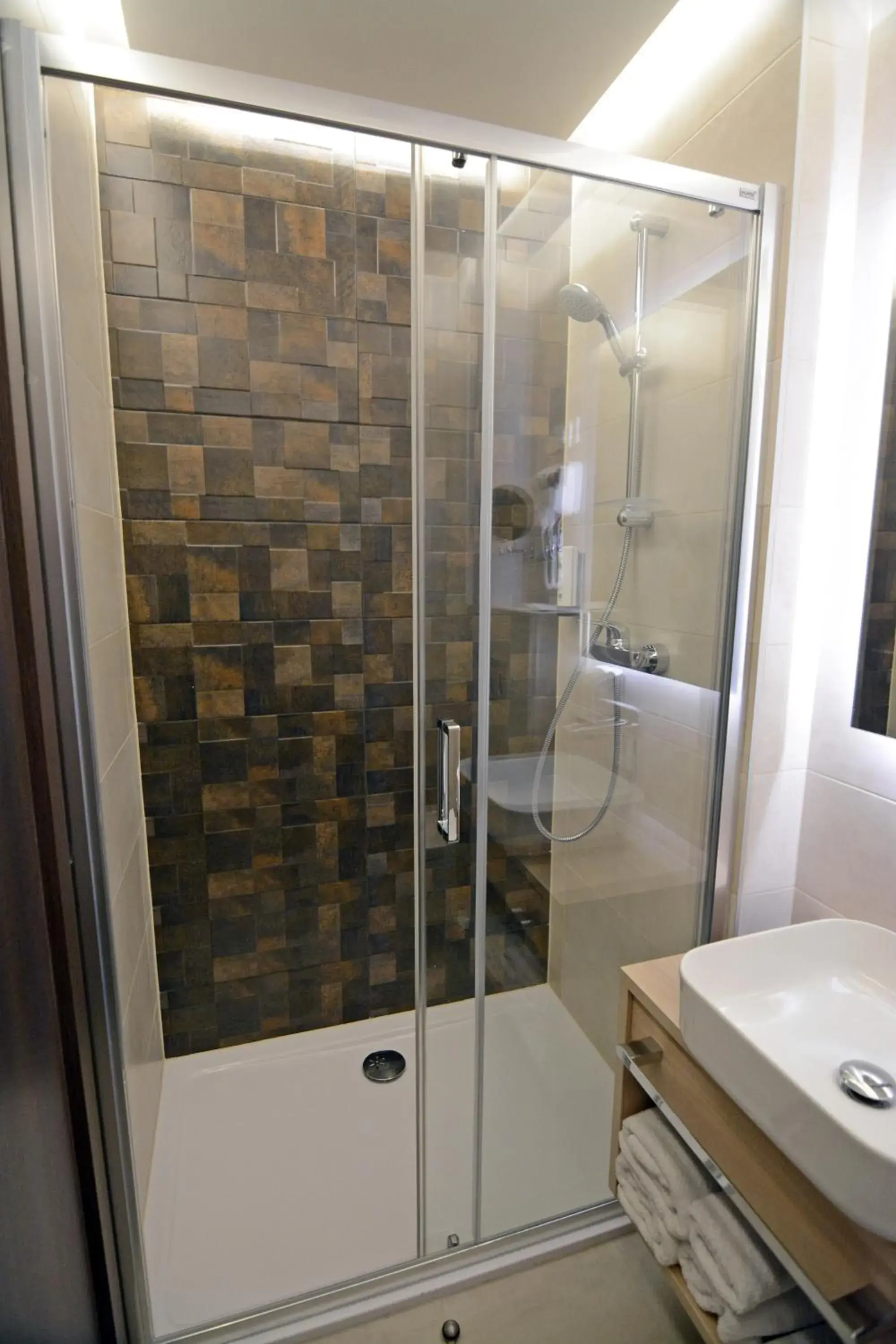 Shower, Bathroom in Hotel Gallus