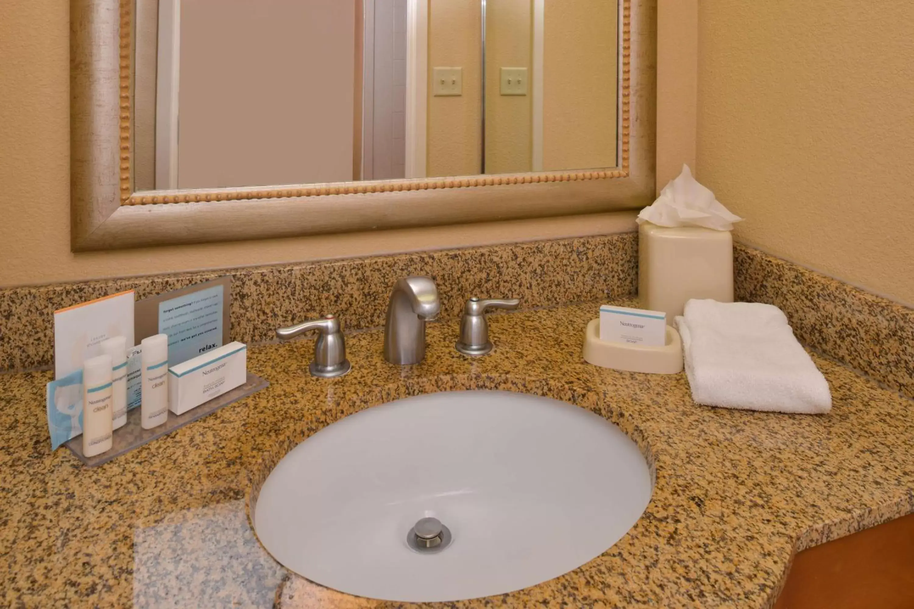 Bathroom in Hampton Inn & Suites Tampa-East/Casino/Fairgrounds