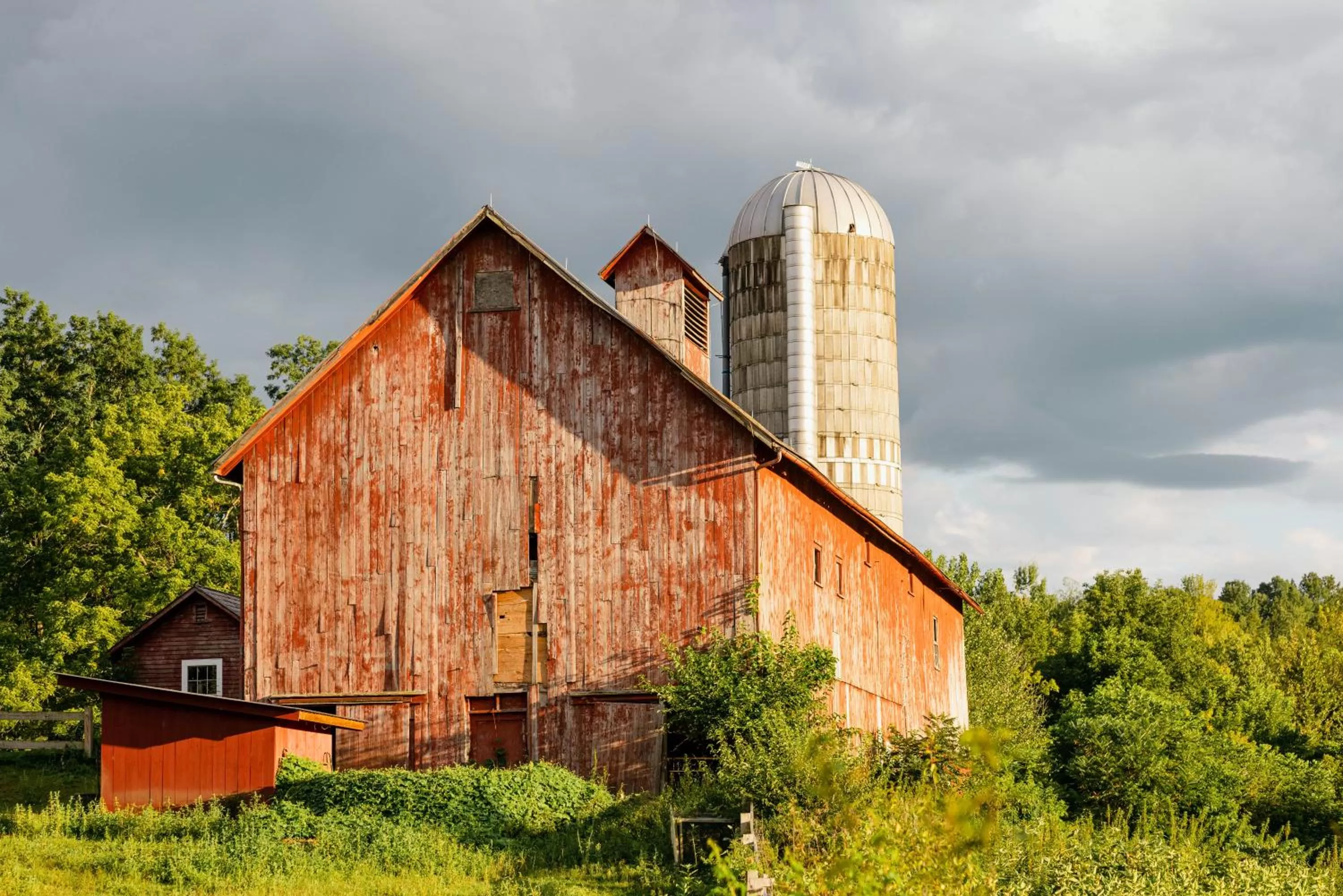 Area and facilities in Hill Farm Inn - Manchester