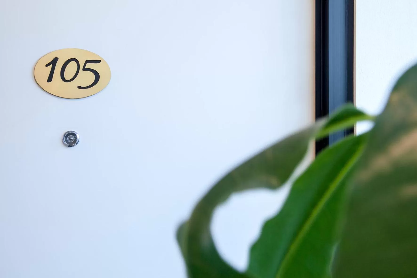 Balcony/Terrace in White Tree Residence