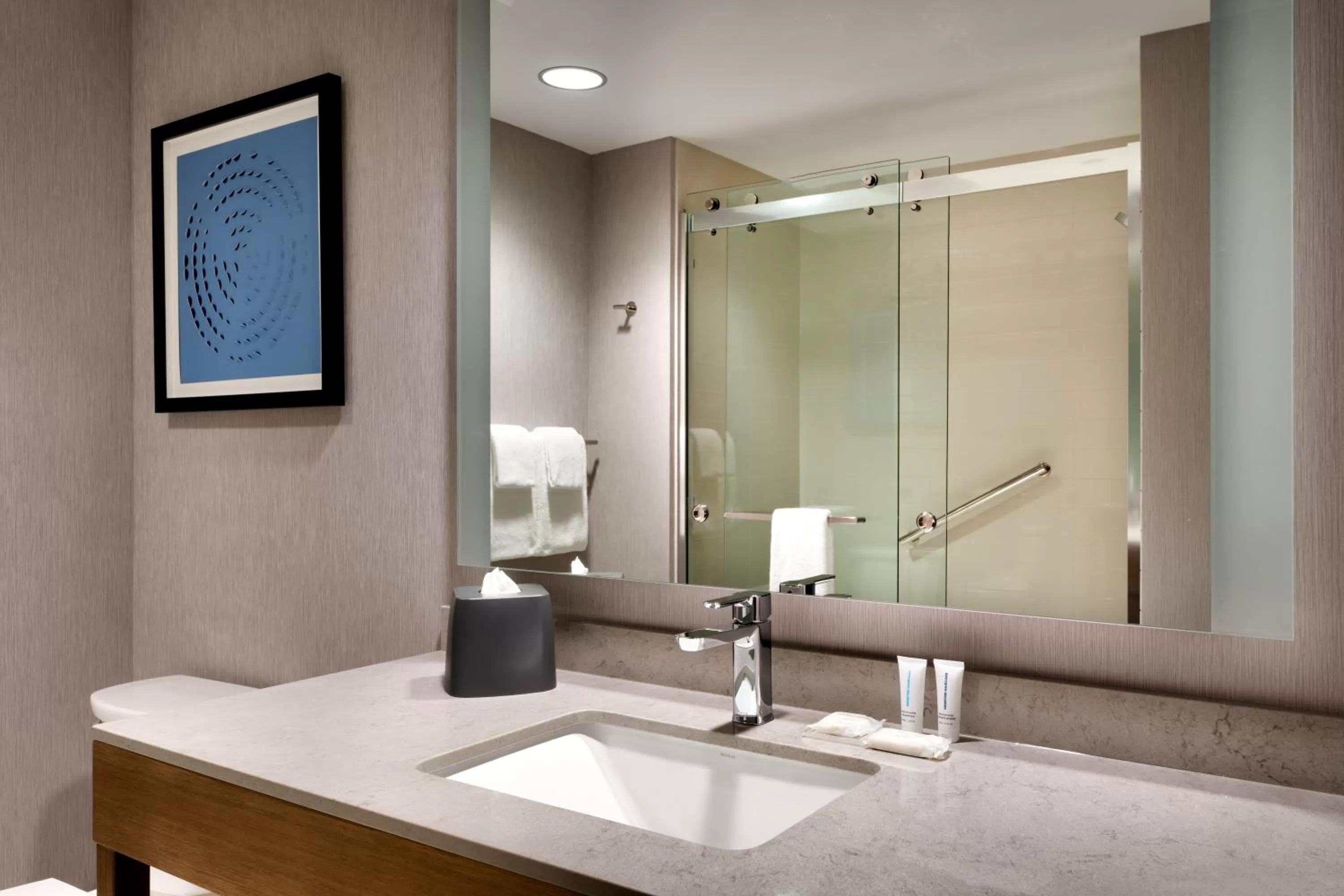 Bathroom in Hyatt Place Fayetteville/Springdale