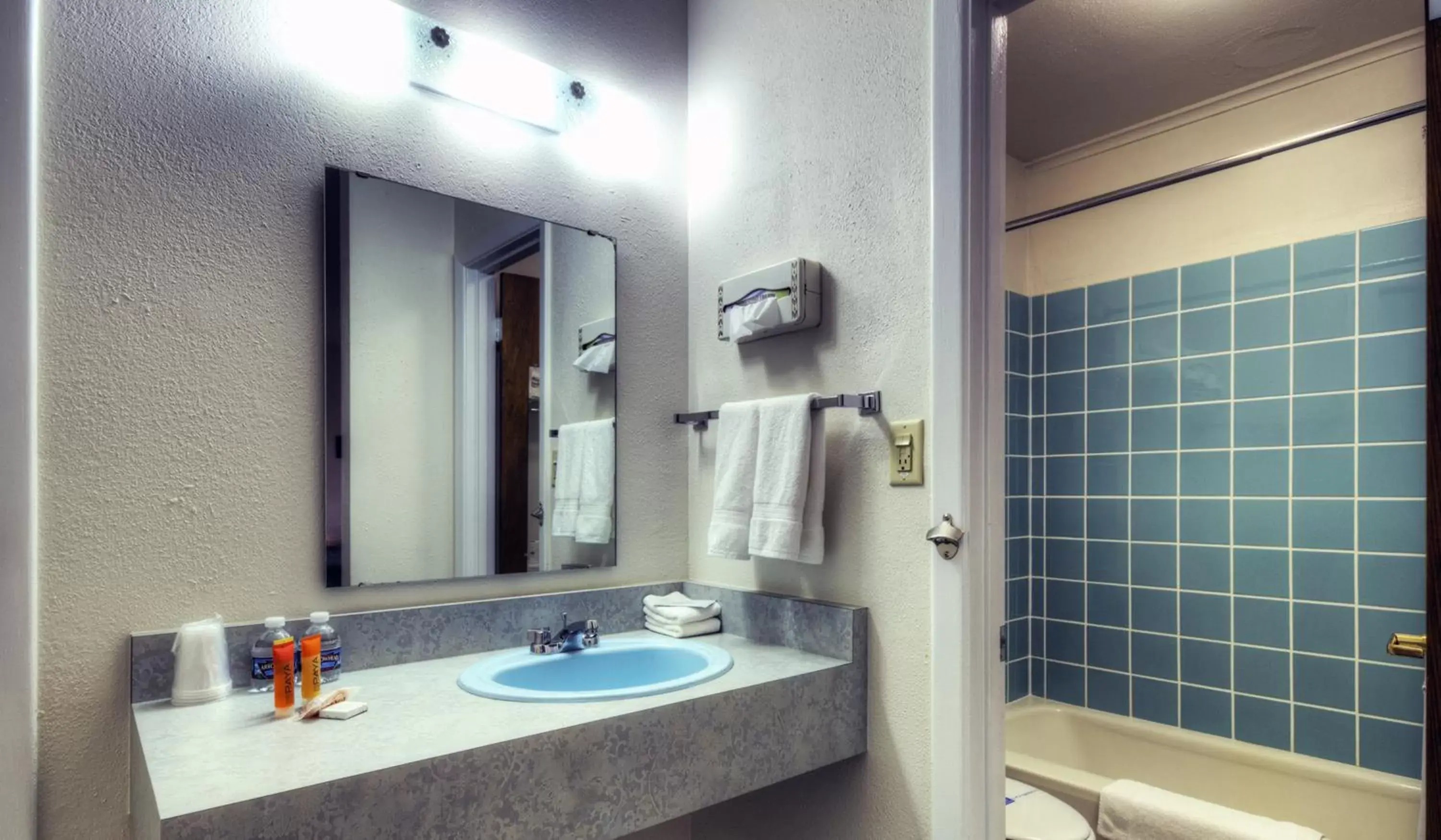 Shower, Bathroom in Roadrunner Lodge Motel