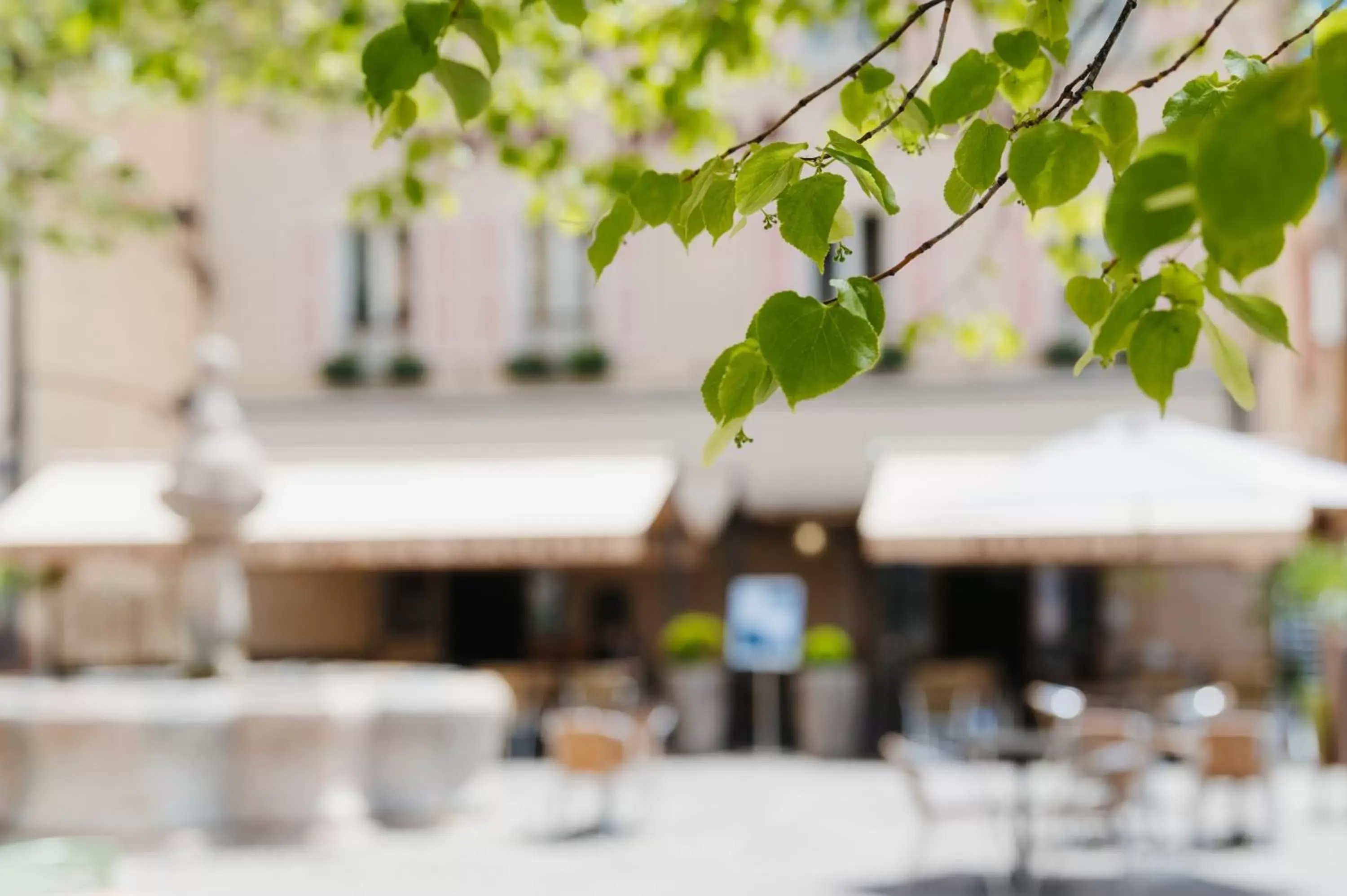 Patio in Logis - Hotel De La Mairie