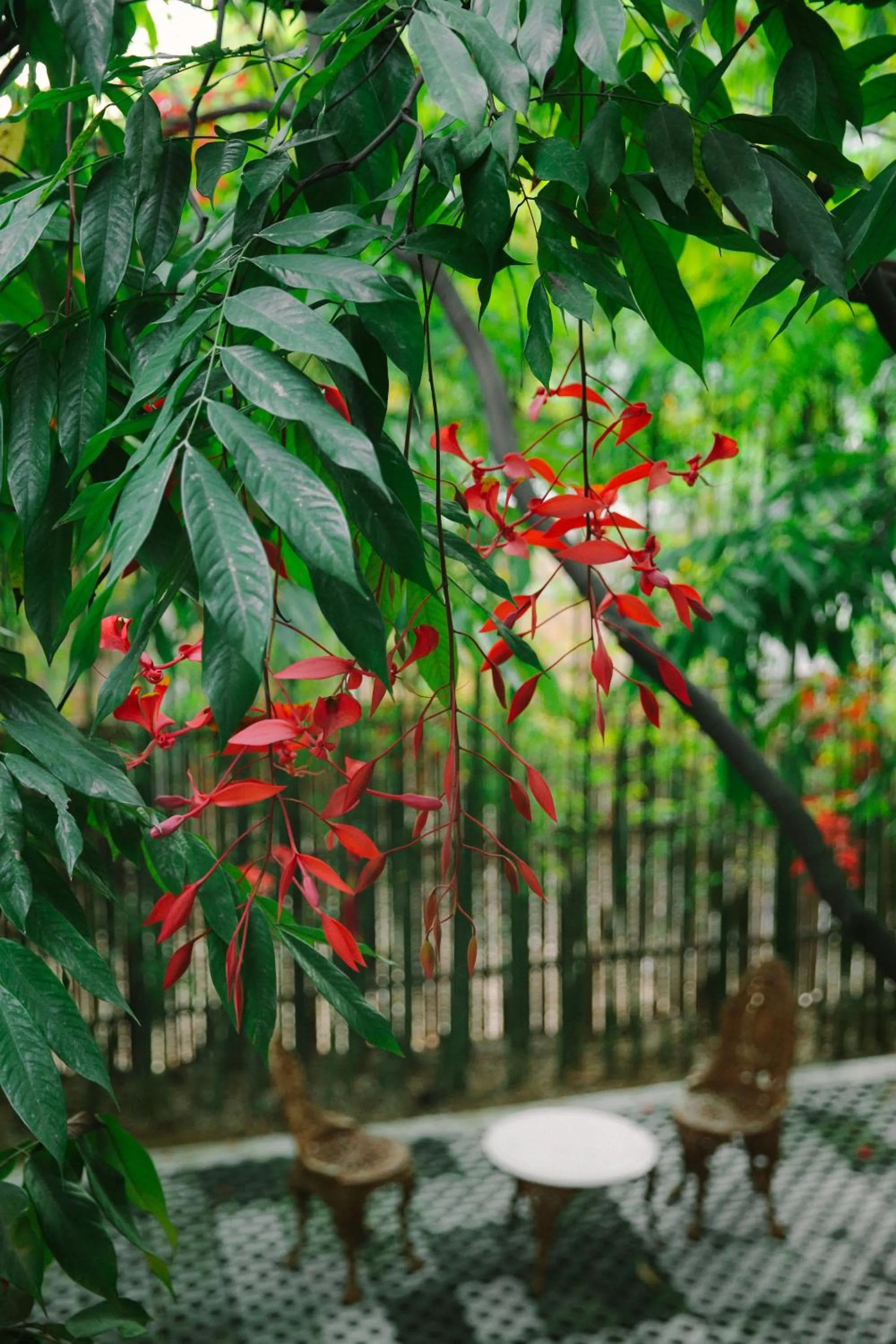 Patio in Villa Mahabhirom
