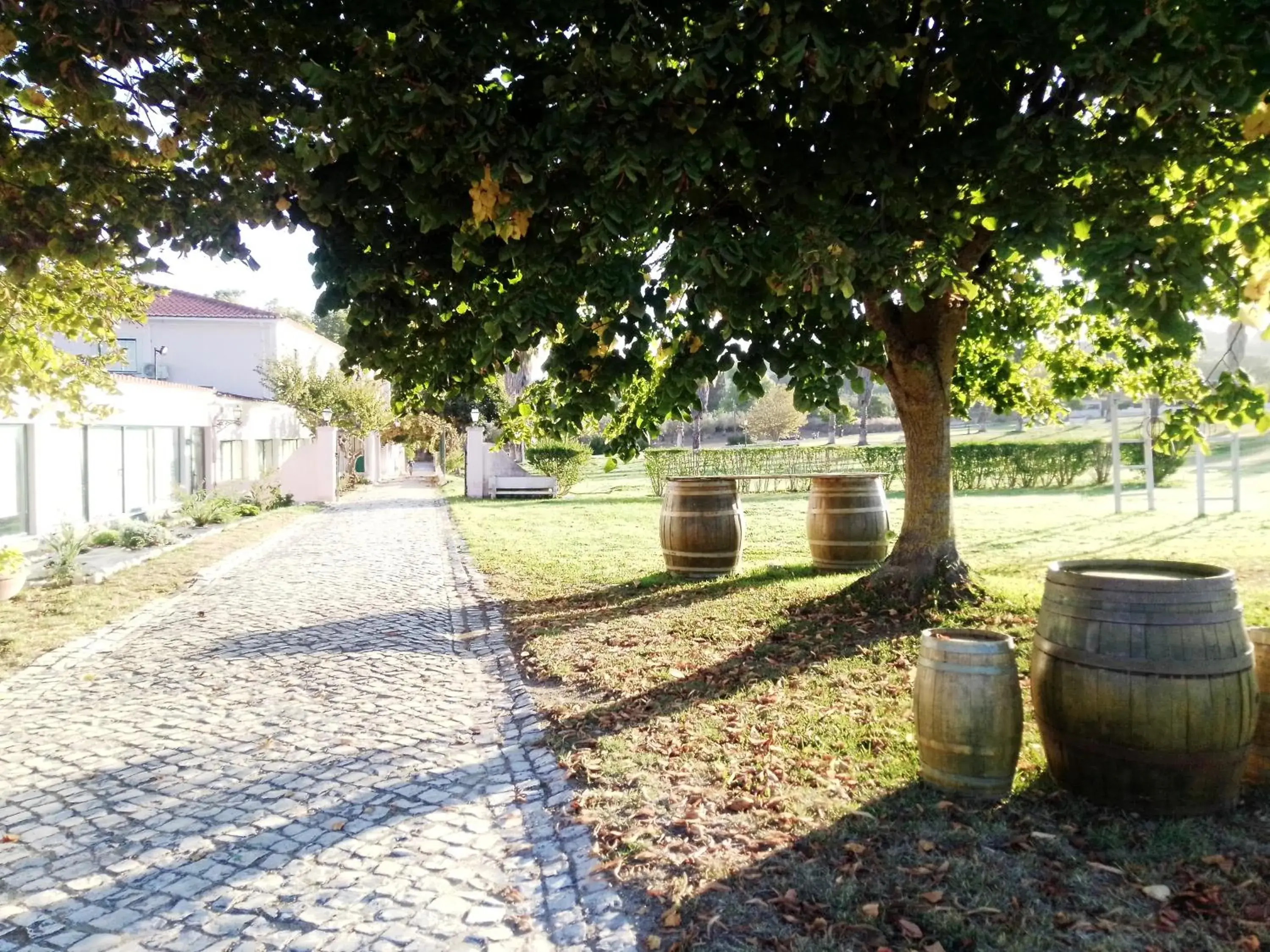 Garden in Hotel Club d'Azeitao