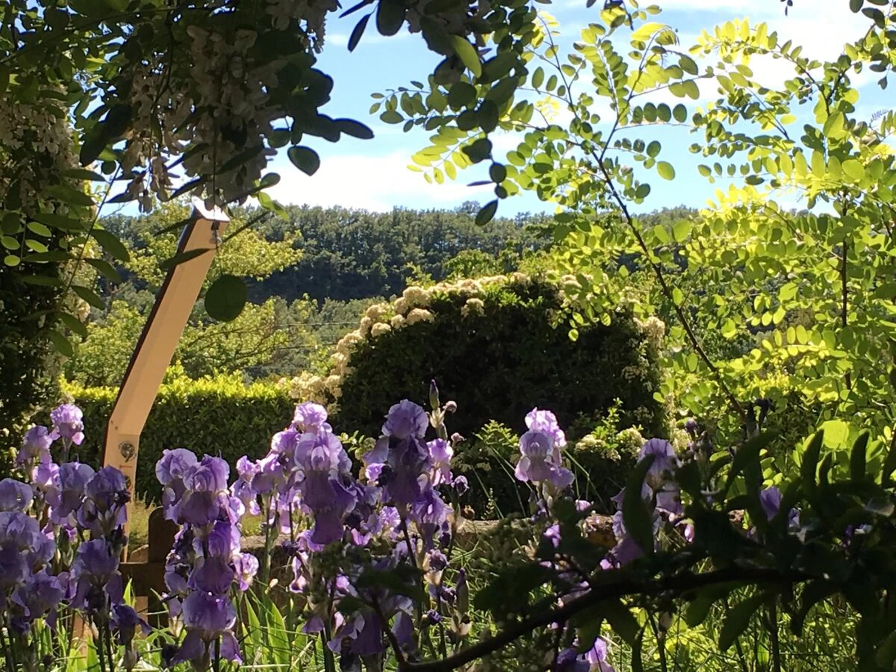 Garden in Hotel Les Chênes