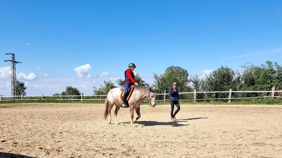 Horse-riding, Horseback Riding in Spa & Pool Apartment Hotel - Restaurant VILLA IVICA