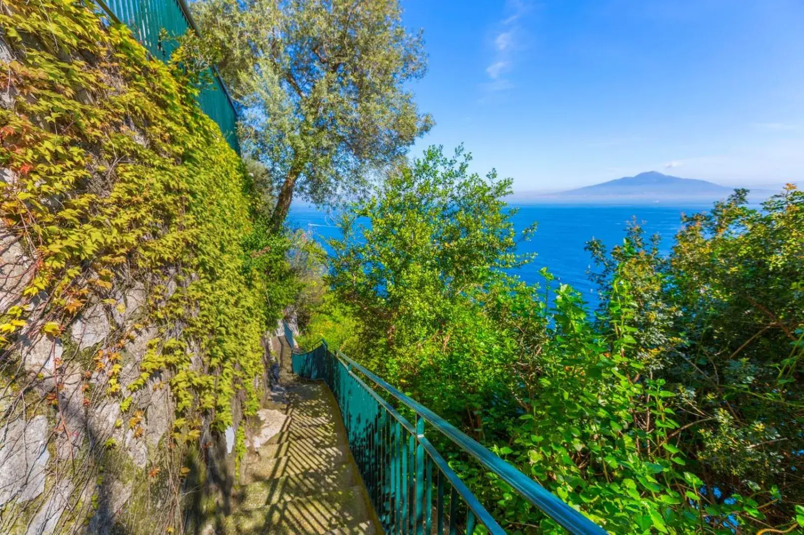 Natural landscape in Hotel Belair