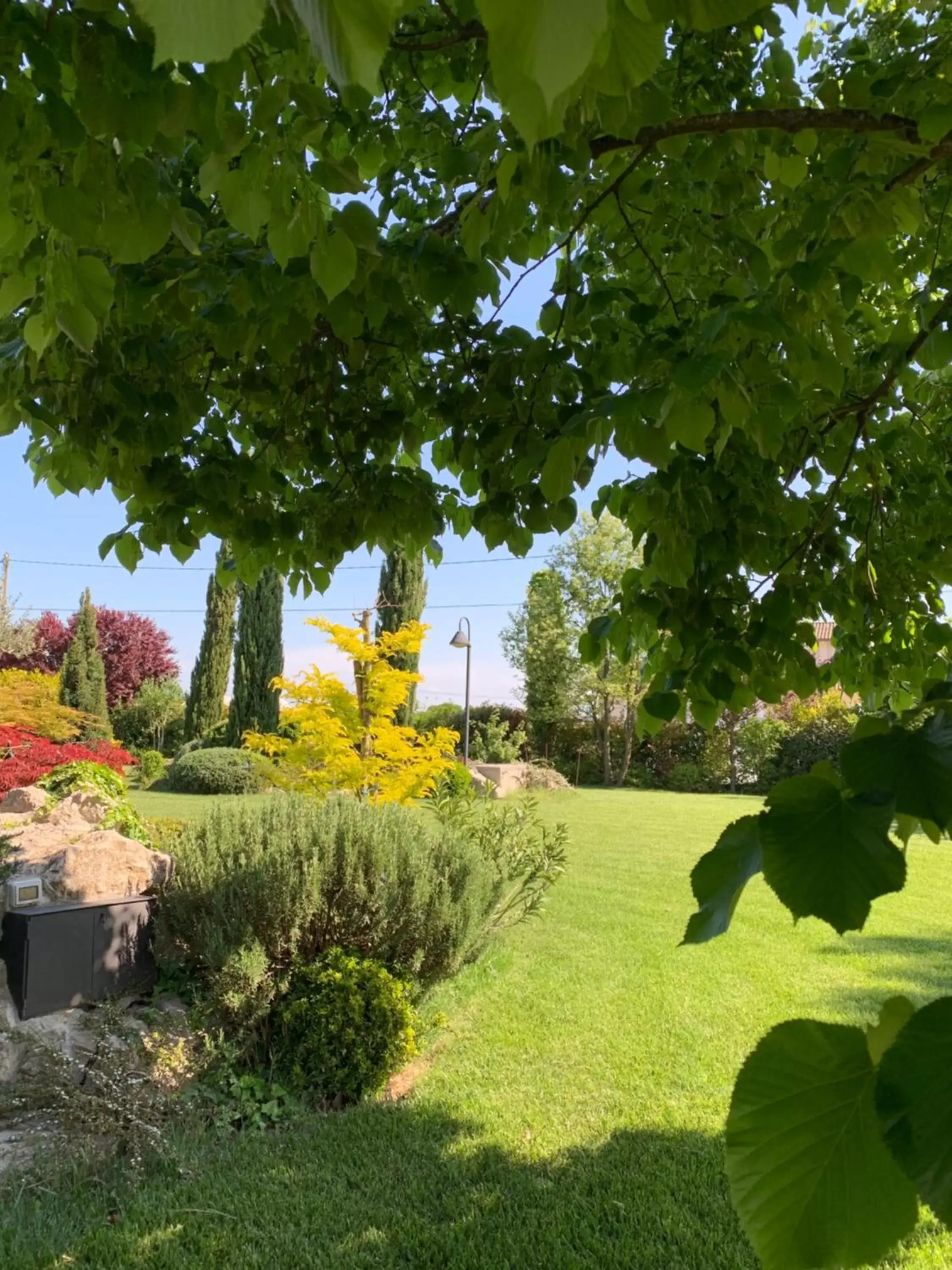 Garden in B&B Beauty House