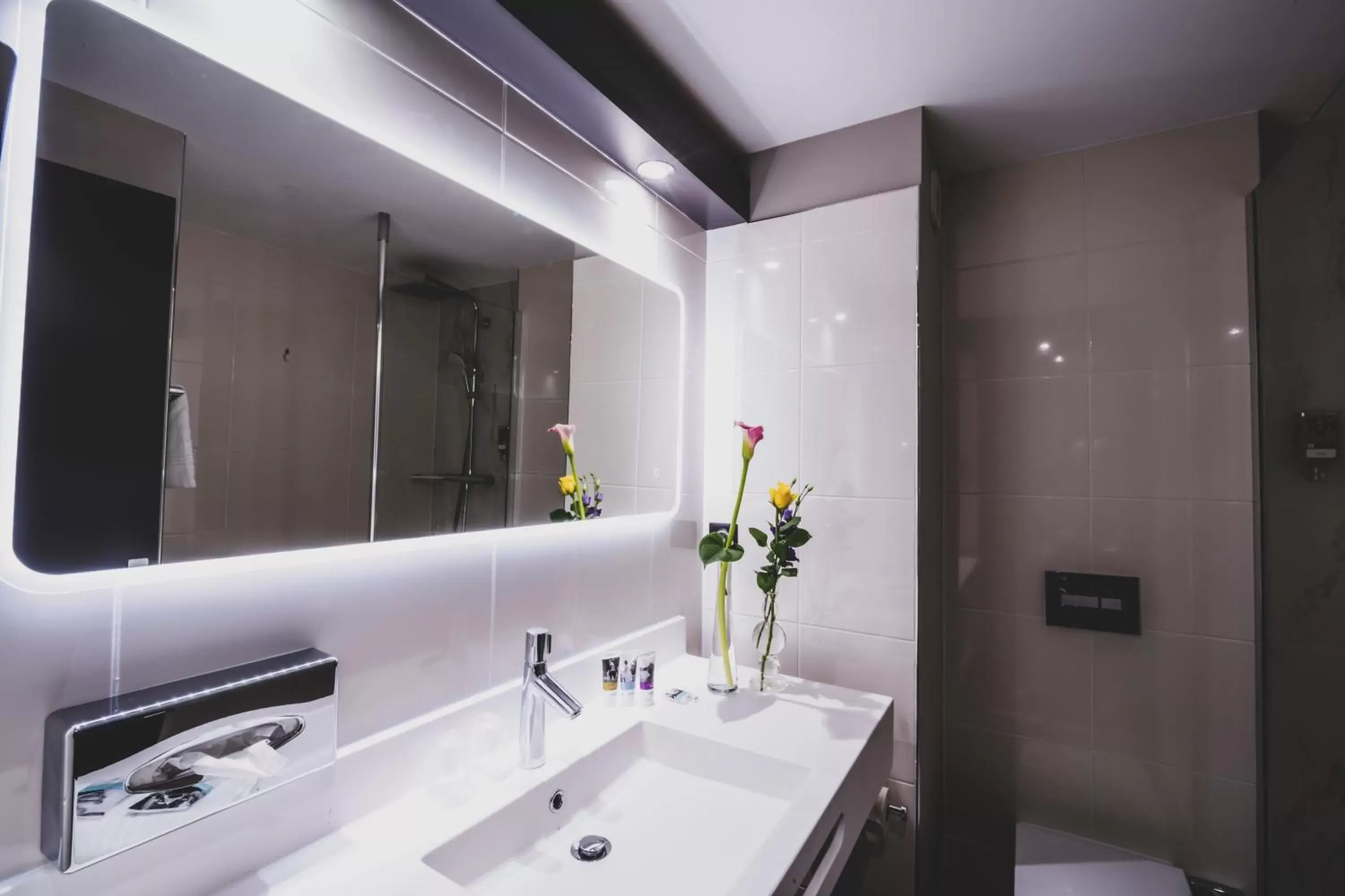 Bathroom in Mercure Pau Palais des Sports Bathroom in Mercure Pau Palais des Sports