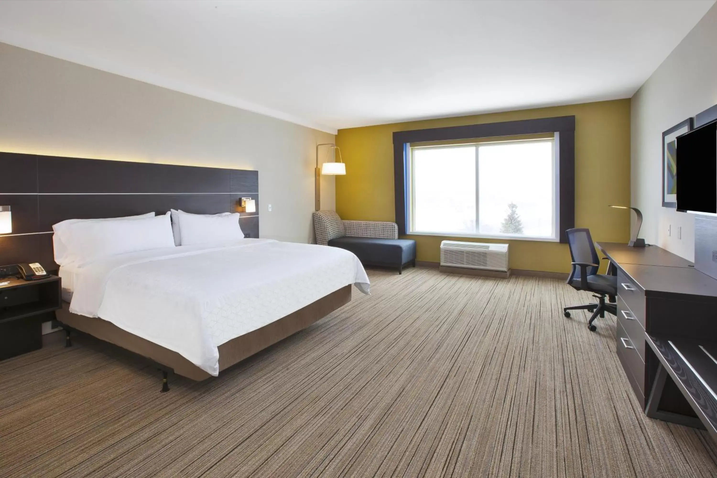 Photo of the whole room in Holiday Inn Express - Auburn Hills South, an IHG Hotel