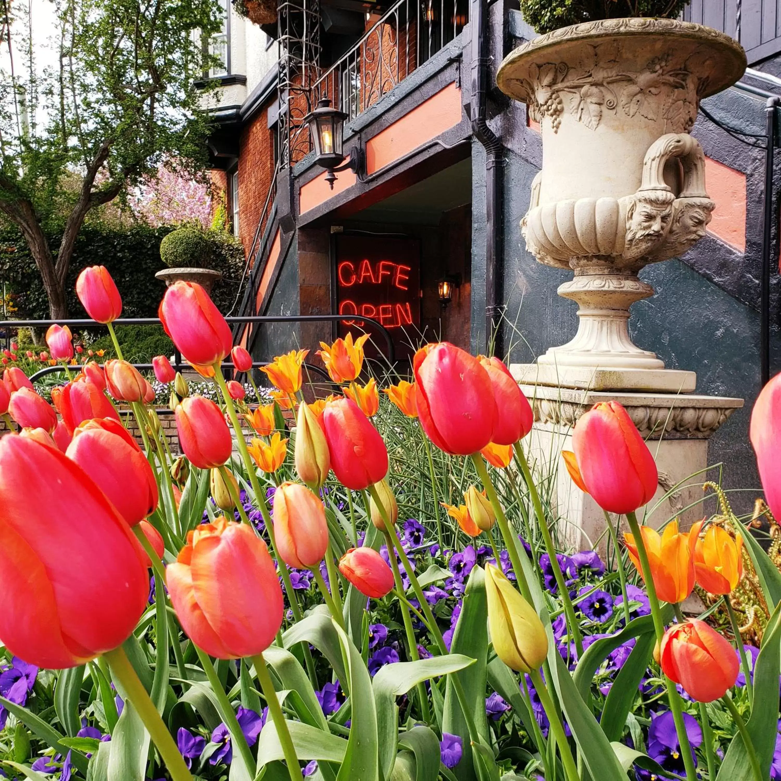 Facade/entrance in James Bay Inn Hotel, Suites & Cottage