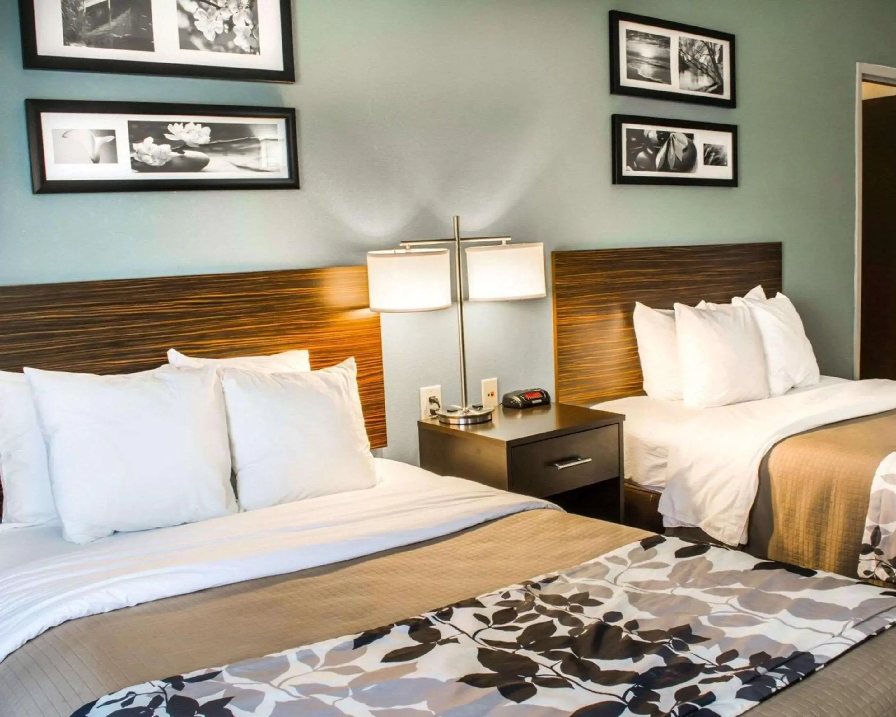 Photo of the whole room, Bed in Sleep Inn & Suites Monticello Photo of the whole room, Bed in Sleep Inn & Suites Monticello