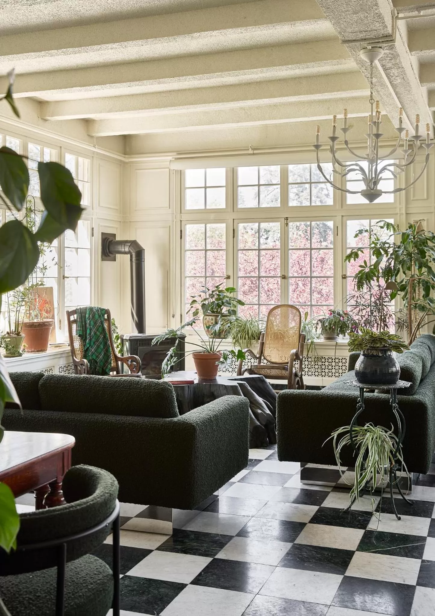 Solarium in Blind Tiger Burlington