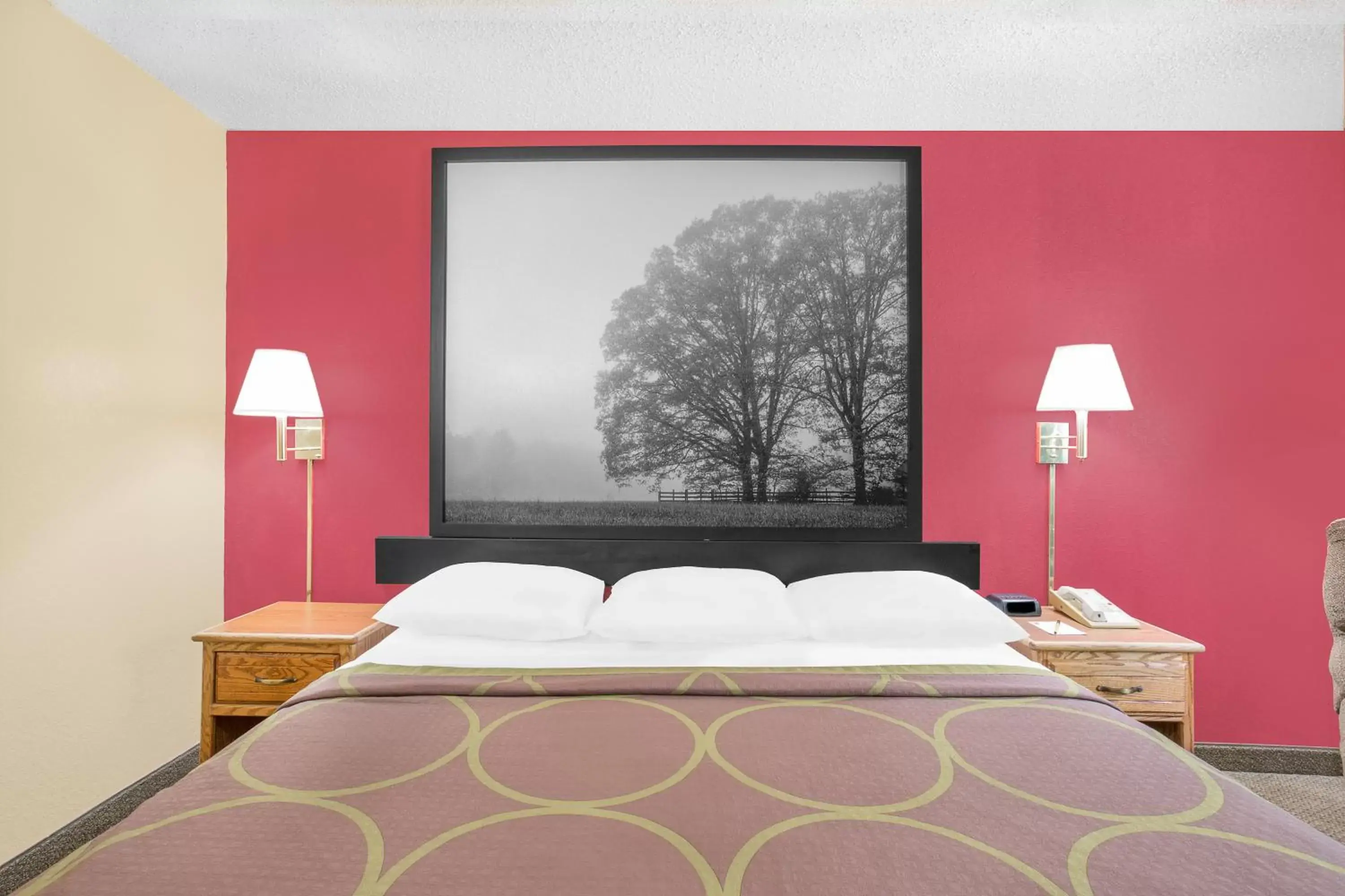 Bedroom, Bed in Super 8 by Wyndham Roanoke VA
