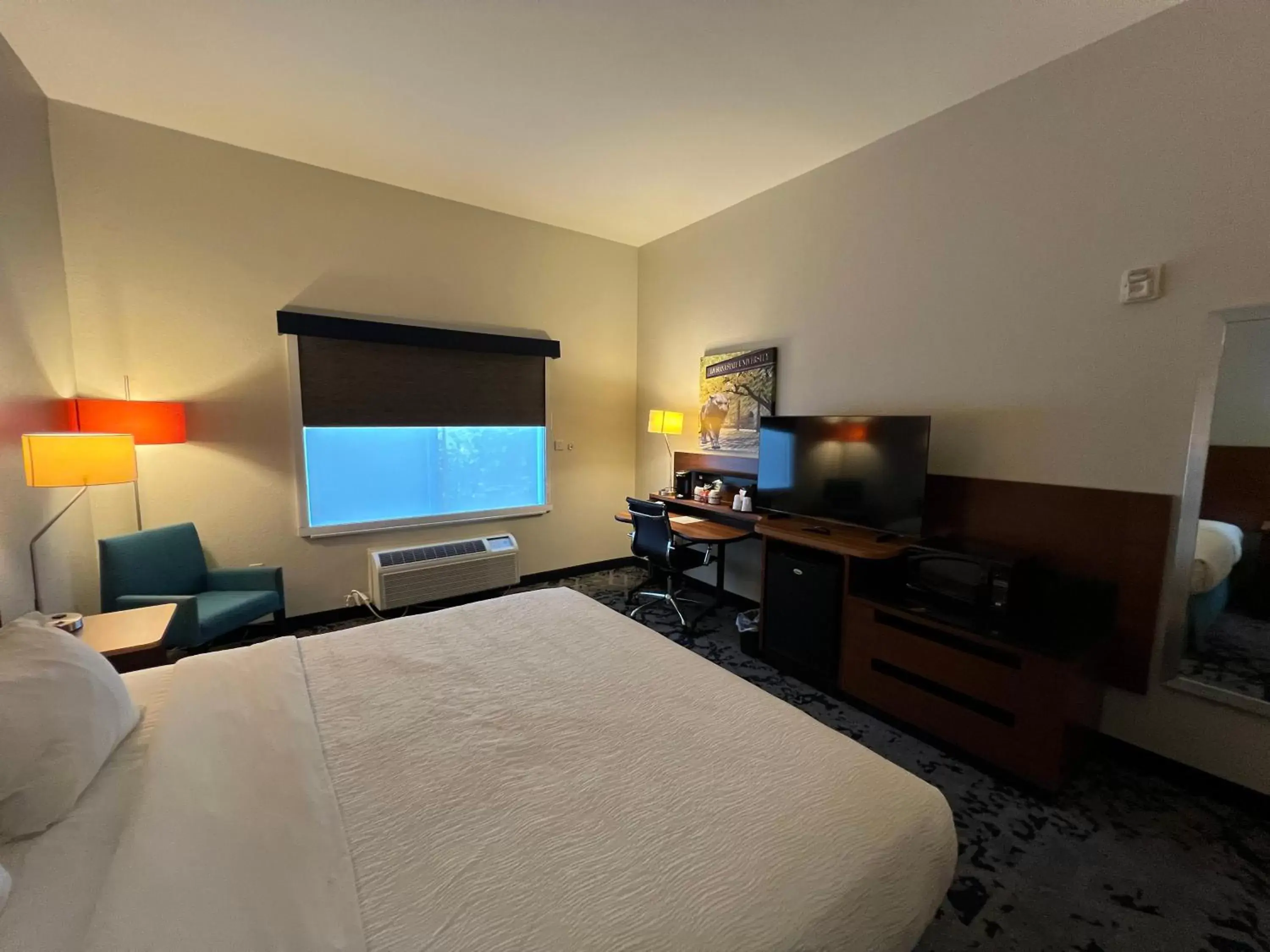 Bedroom, TV/Entertainment Center in Best Western LSU/Medical Corridor Inn & Suites