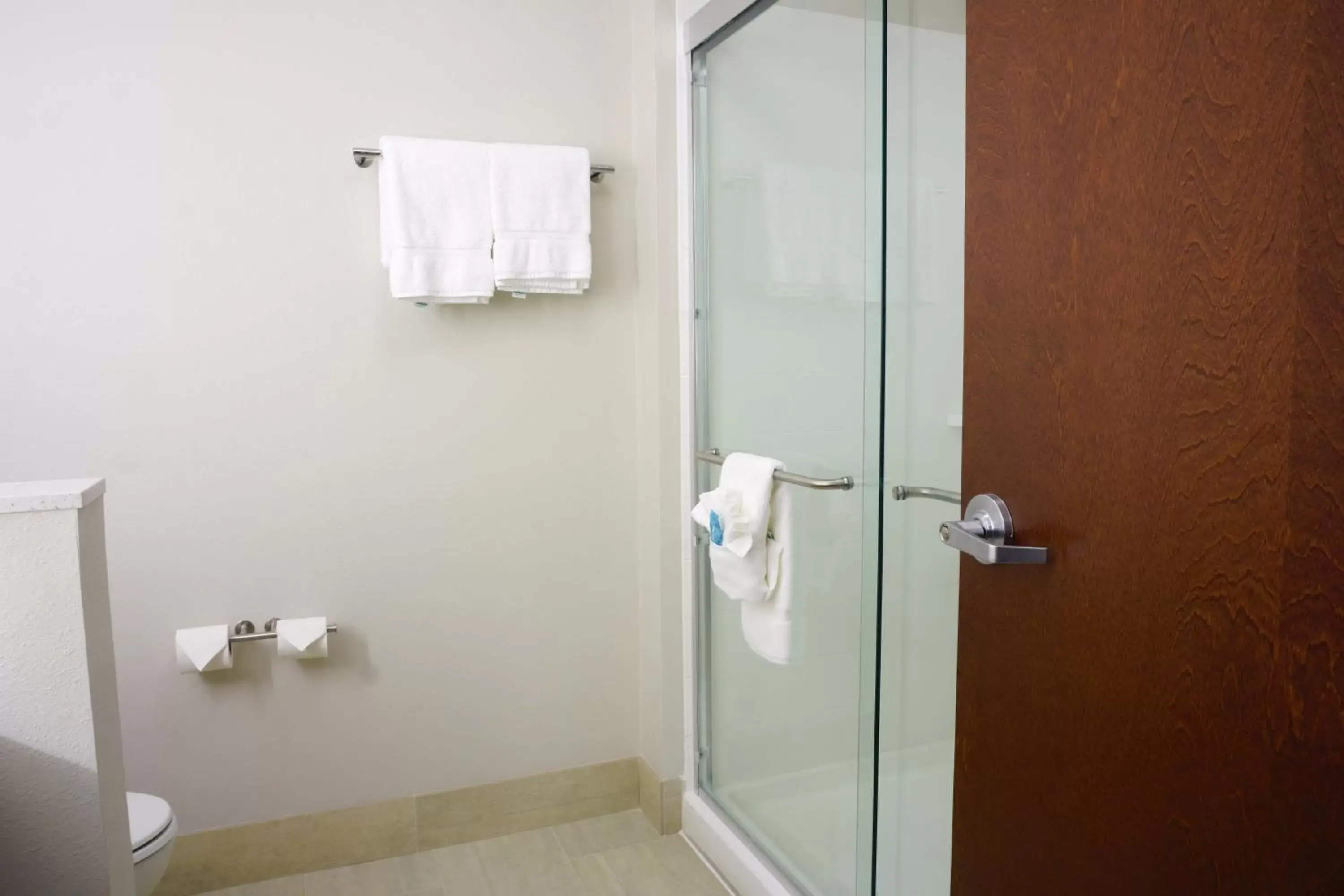 Bathroom in Holiday Inn Express & Suites Omaha - Millard Area, an IHG Hotel